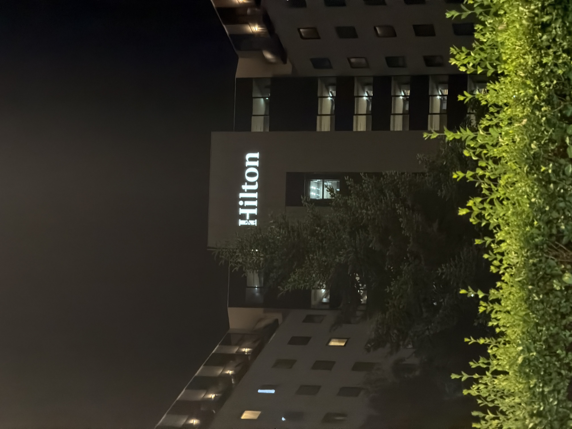 An exterior night shot captures the illuminated "Hilton" sign on a modern hotel building in Sofia, Bulgaria. The hotel features multiple floors with windows, some of which show interior lighting, and is flanked by a large evergreen tree in the foreground. A neatly trimmed hedge runs along the bottom of the frame, obscuring the ground level. The sky is dark, indicating nighttime.