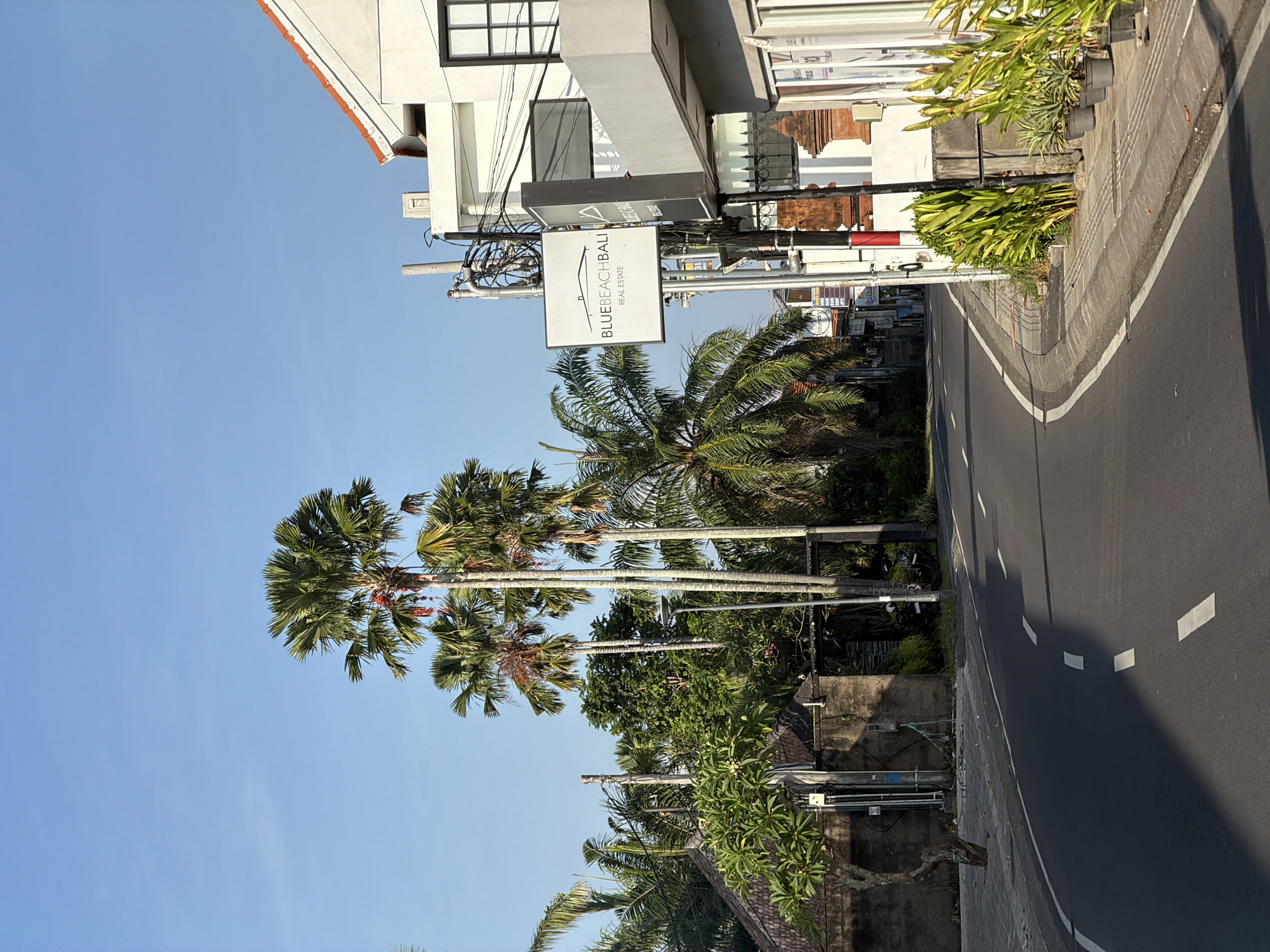 The image displays a bright, sunny street scene in North Kuta, Indonesia, characterized by tropical vegetation and urban infrastructure. An asphalt road, marked with white dashed center lines and a solid white edge line, runs through the frame, curving slightly towards the right. Alongside the road, a concrete sidewalk is visible, featuring small potted plants and various greenery.
On the right side of the street, there are modern buildings with white facades and dark-framed windows. A prominent white rectangular sign, hanging from a utility pole above the sidewalk, clearly reads "BLUE BEACH BALI REAL ESTATE" in black capital letters. Several utility wires and poles are also evident in this area.
The left side of the scene is dominated by numerous tall palm trees with lush green fronds, indicative of a tropical environment. Additional dense foliage and smaller trees are visible behind the primary line of palms. The sky above is a clear, vibrant blue, suggesting good weather conditions. Long shadows cast across the road imply either early morning or late afternoon sunlight. No people or specific activities are observed in the static street view.