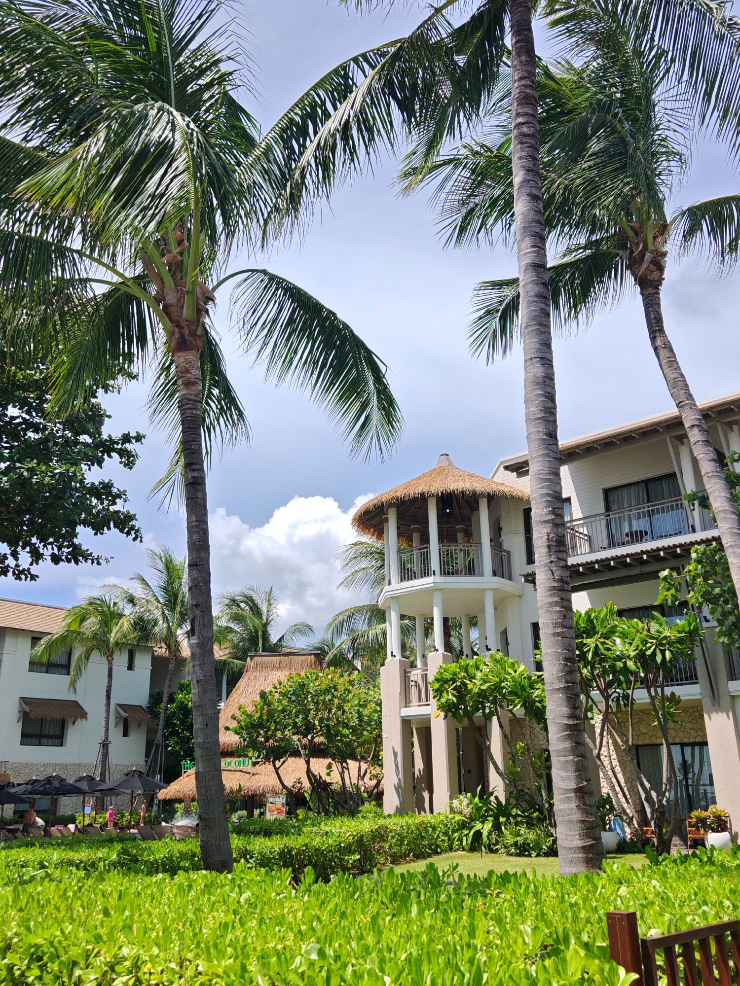 The image depicts a resort in Baan Bo Phut, Thailand, with lush green foliage in the foreground. Tall palm trees with distinctive gray trunks dominate the scene, their fronds extending towards a partly cloudy sky. Behind the trees, a multi-story hotel building with white walls and brown roofs is visible. This building features balconies with railings and windows. Adjacent to the hotel, a smaller structure with a thatched roof and a rounded, open-air observation deck with railings and pillars is present. The resort area includes lounge chairs and black umbrellas, suggesting a recreational space. The overall impression is a tropical resort setting with clear blue skies and white clouds.