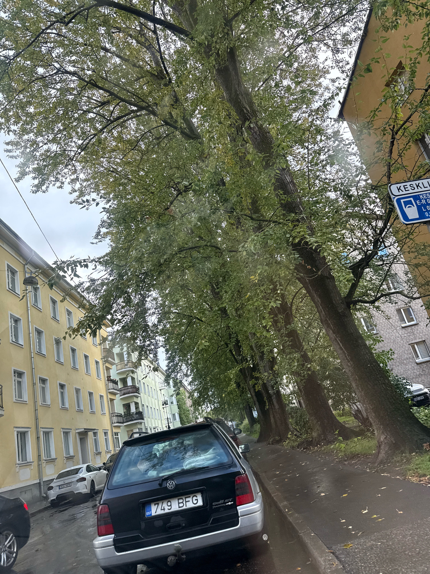 This image depicts a street scene in Tallinn, Estonia, characterized by a row of mature trees lining a sidewalk and street. On the left, a multi-story building with a yellow facade features numerous windows and balconies. Across the street, a light-colored car is parked next to a building with a brick facade. In the foreground, a dark-colored station wagon with an Estonian license plate "749 BFG" is parked on the street. A blue traffic sign with white text and symbols is visible on the right side of the image, indicating "KESKLI". The street and sidewalk appear wet, suggesting recent rain. The sky is overcast.