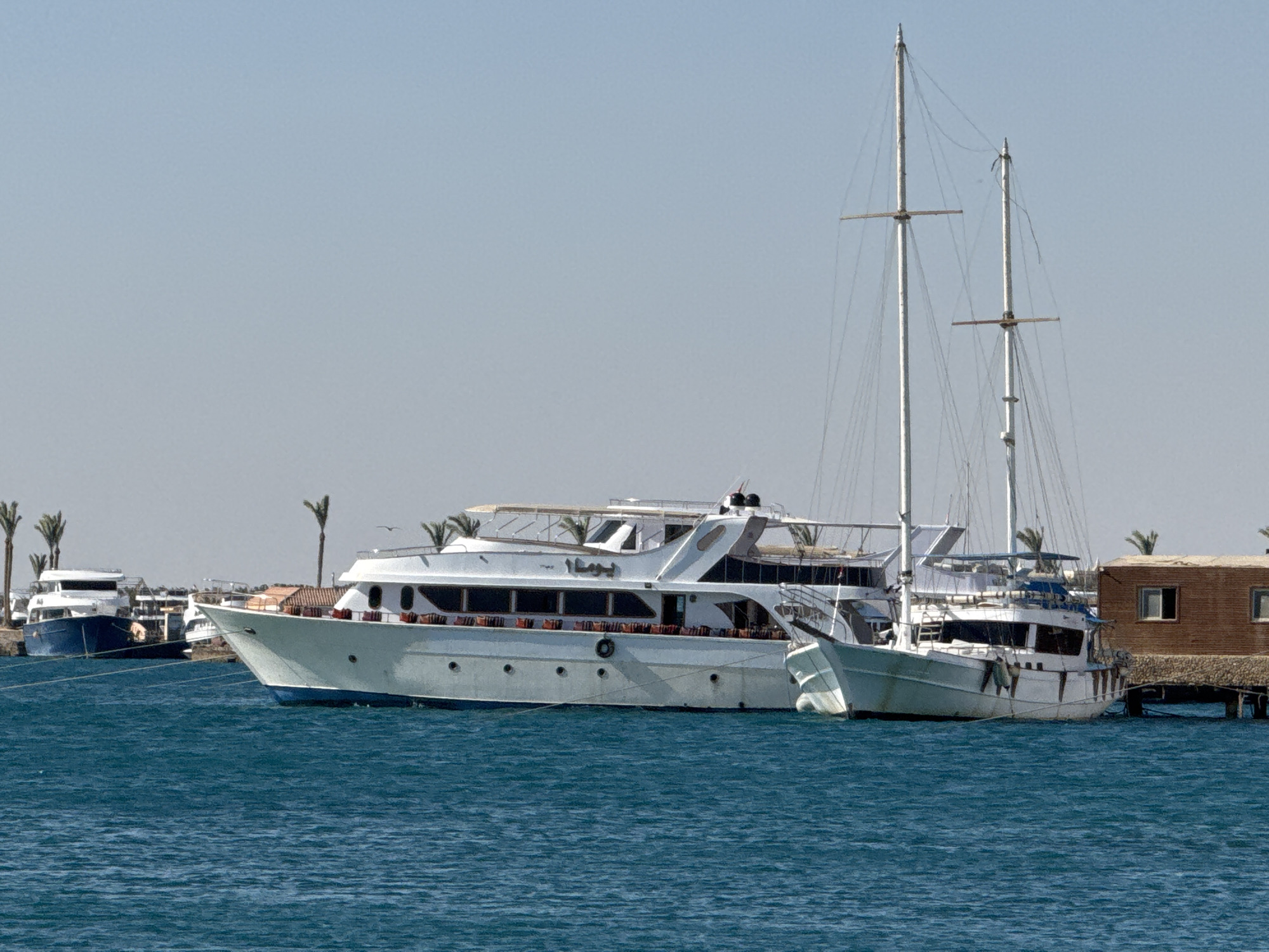 The image shows several yachts and sailboats docked in a harbor or marina. The largest yacht is white and has multiple decks with seating and shade structures. A second sailboat is docked alongside the yacht. Another blue boat is visible further away. The background includes a clear sky and palm trees along the shoreline. A small building is present on the right side of the frame. The water appears to be a deep blue.
