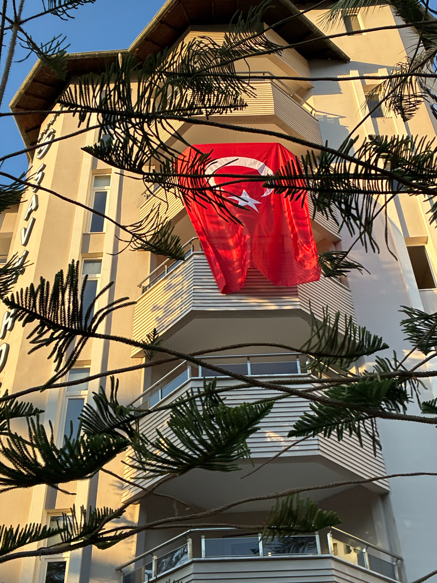 A low-angle shot captures a Turkish flag hanging from a balcony on a beige building, partially obscured by the branches of a pine tree. The flag, a vibrant red with a white crescent moon and star, is draped over the railing of the balcony. The building features multiple windows and balconies, with the sunlight casting long shadows across its facade. The scene appears to be in Alanya, Turkey, given the context provided. The image is framed by the dark green, spiky needles of the pine tree, creating a layered effect. The sky above is a clear, pale blue.