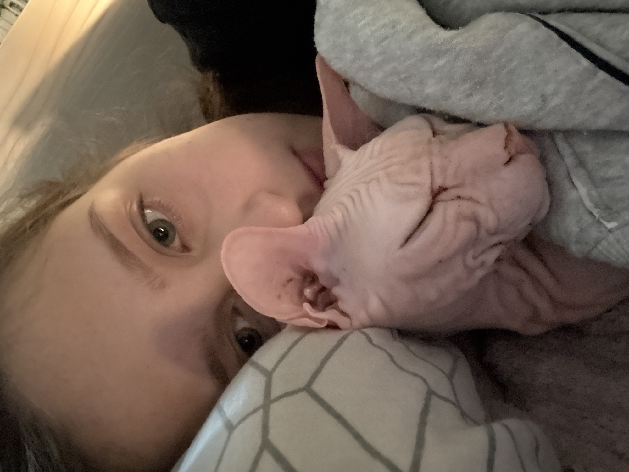 The image is a close-up, selfie-style shot of a young person and a pink Sphynx cat. The person's face is partially visible, with their eye and forehead in focus. The cat is nestled against the person, with its head resting on a gray, soft-fabric garment. The background shows a pillow with a geometric pattern and a hint of a white surface, possibly a bed or sofa. The lighting suggests an indoor setting, likely a bedroom, with warm, natural light casting soft shadows. The overall impression is one of intimacy and comfort, with the person and cat sharing a quiet moment. There is no discernible location in Krasnoyarsk, Russia.