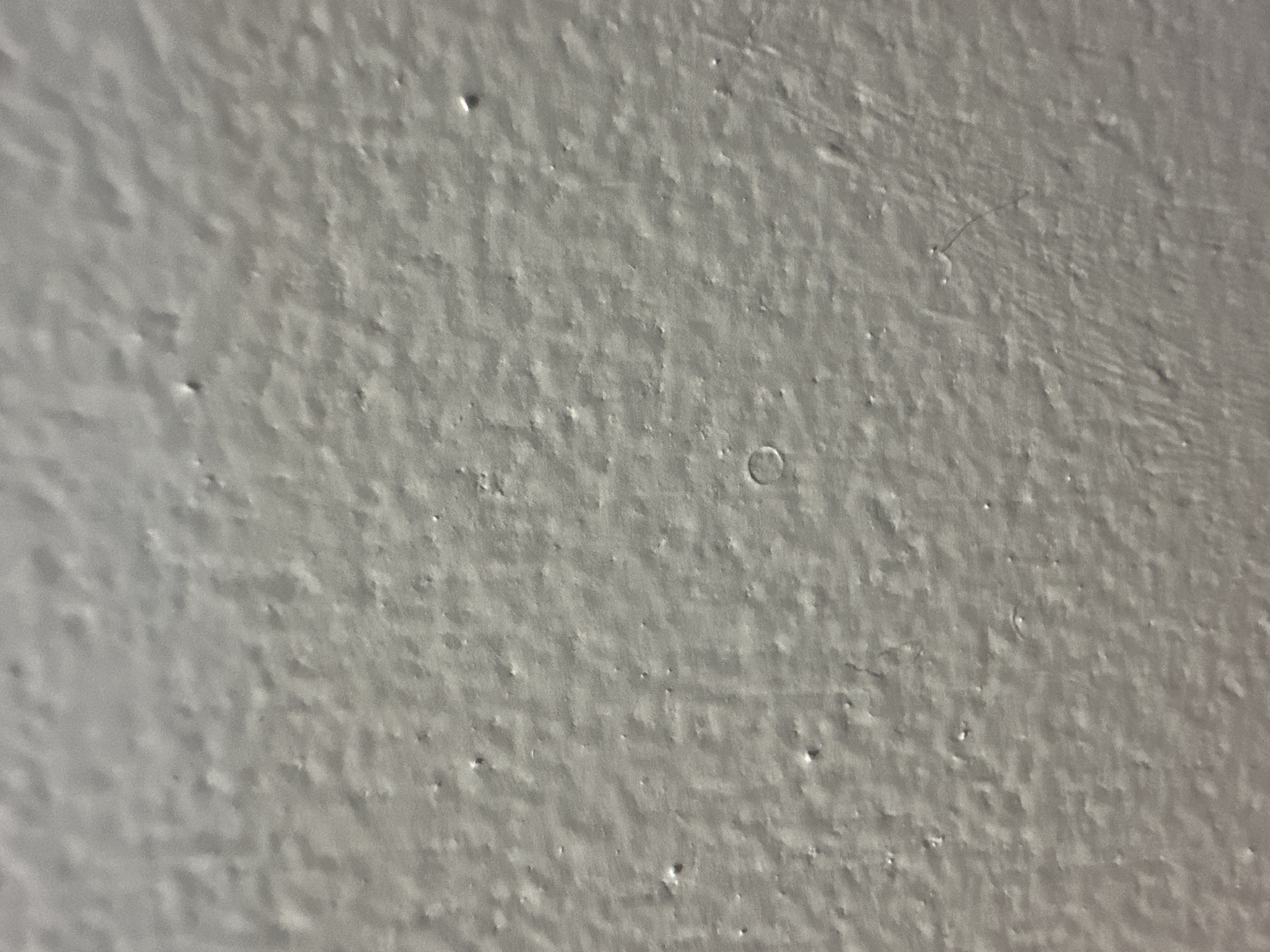 This is a close-up, abstract photograph of a textured, light gray surface. The surface appears to be a wall, possibly painted, with a slightly uneven and rough texture. There are small raised bumps and indentations across the surface, creating a subtle pattern of light and shadow. In the center of the image, there is a small, circular impression or bubble in the material. Towards the top right, a very fine, dark strand, possibly a hair or a thin fiber, is visible lying on the surface. The lighting suggests it is a well-lit indoor environment, though the exact time of day and weather conditions are not discernible. There are no people, objects, or discernible text in the image. The focus is entirely on the texture and subtle imperfections of the wall.