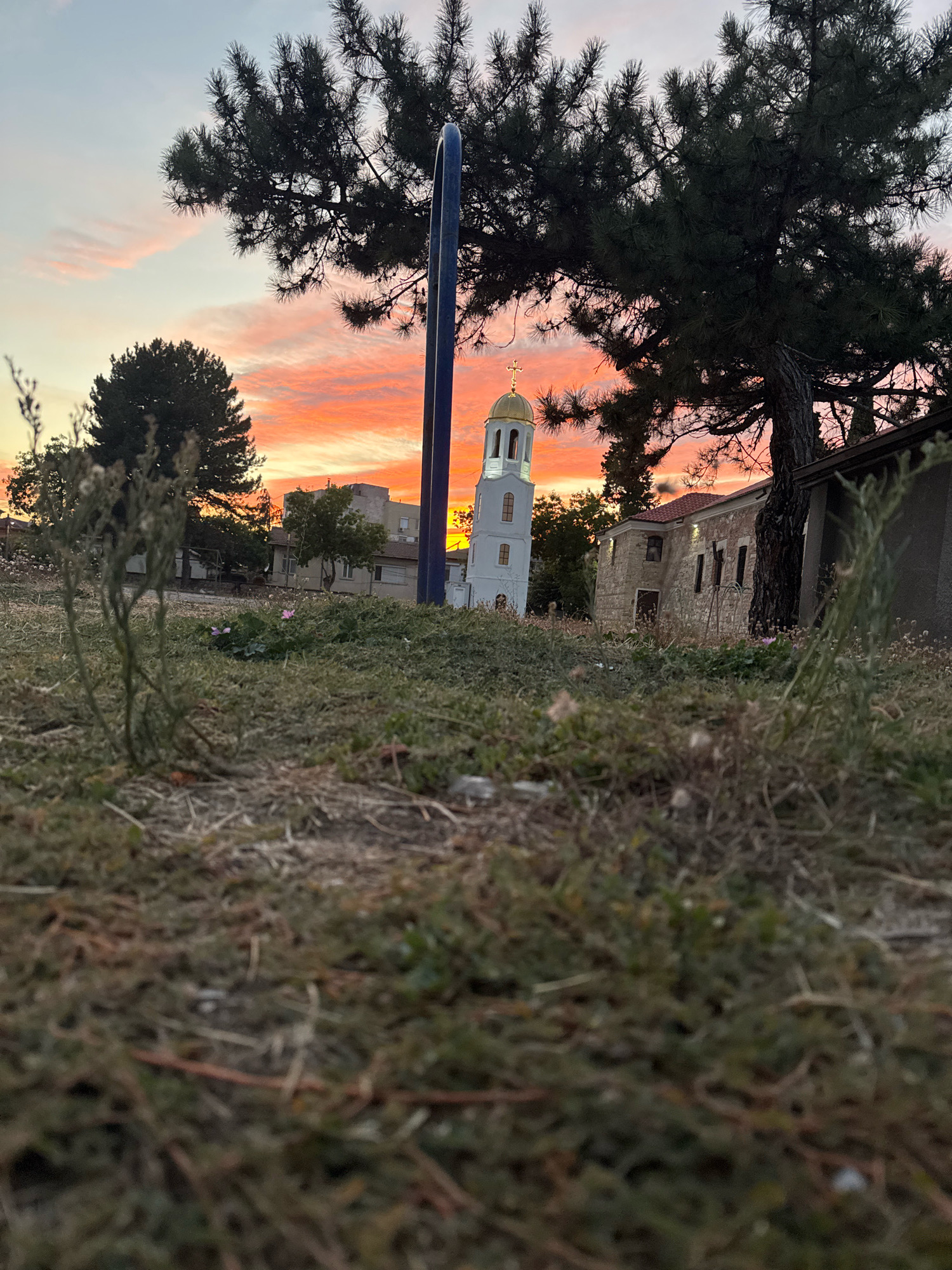 The image depicts an outdoor scene at dusk, likely in the city of Svilengrad, Bulgaria, given the architectural style and vegetation. In the foreground, dry grass and sparse green vegetation cover the ground, with a low-angle perspective emphasizing the texture of the earth and dry plant matter. Behind the immediate foreground, a slightly more overgrown area of grass and weeds is visible, with a few small pink flowers.
Dominating the middle ground are several structures and natural elements. To the left, a tall, slender, dark blue pole stands vertically. Behind this pole, a bright white bell tower with a golden dome and cross rises prominently. The tower has arched windows. Adjacent to the bell tower, to the right, is a stone building with a red-tiled roof. The stone building has dark, rectangular windows and appears to be an older structure.
Looming over the scene is a large evergreen tree, likely a pine, with dark green needles and thick branches that obscure parts of the sky and buildings. In the distance, several other trees and low-rise buildings are visible.
The sky is filled with the vibrant colors of sunset, featuring streaks of bright orange, pink, and yellow clouds against a pale blue sky. The lighting suggests the sun has recently set or is very low on the horizon, casting a warm glow over the scene. No people or animals are present in the image. The overall atmosphere is serene and somewhat melancholic due to the fading light.