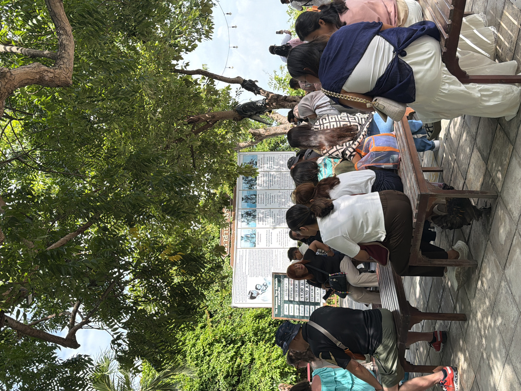 In Pattaya City, Thailand, a group of tourists are waiting on wooden benches under the shade of trees. A sign in the background displays "The Museum Tour Schedule" with times listed in various languages, including English, Chinese, and Thai. The people, of various ages and genders, are dressed casually, with some wearing hats and sunglasses. They are facing a whiteboard or poster, suggesting they are waiting for a tour to begin. The environment is outdoors, with lush green foliage and a bright sky visible. The ground is paved with stone tiles. Some individuals are looking at their phones, while others are conversing with each other.