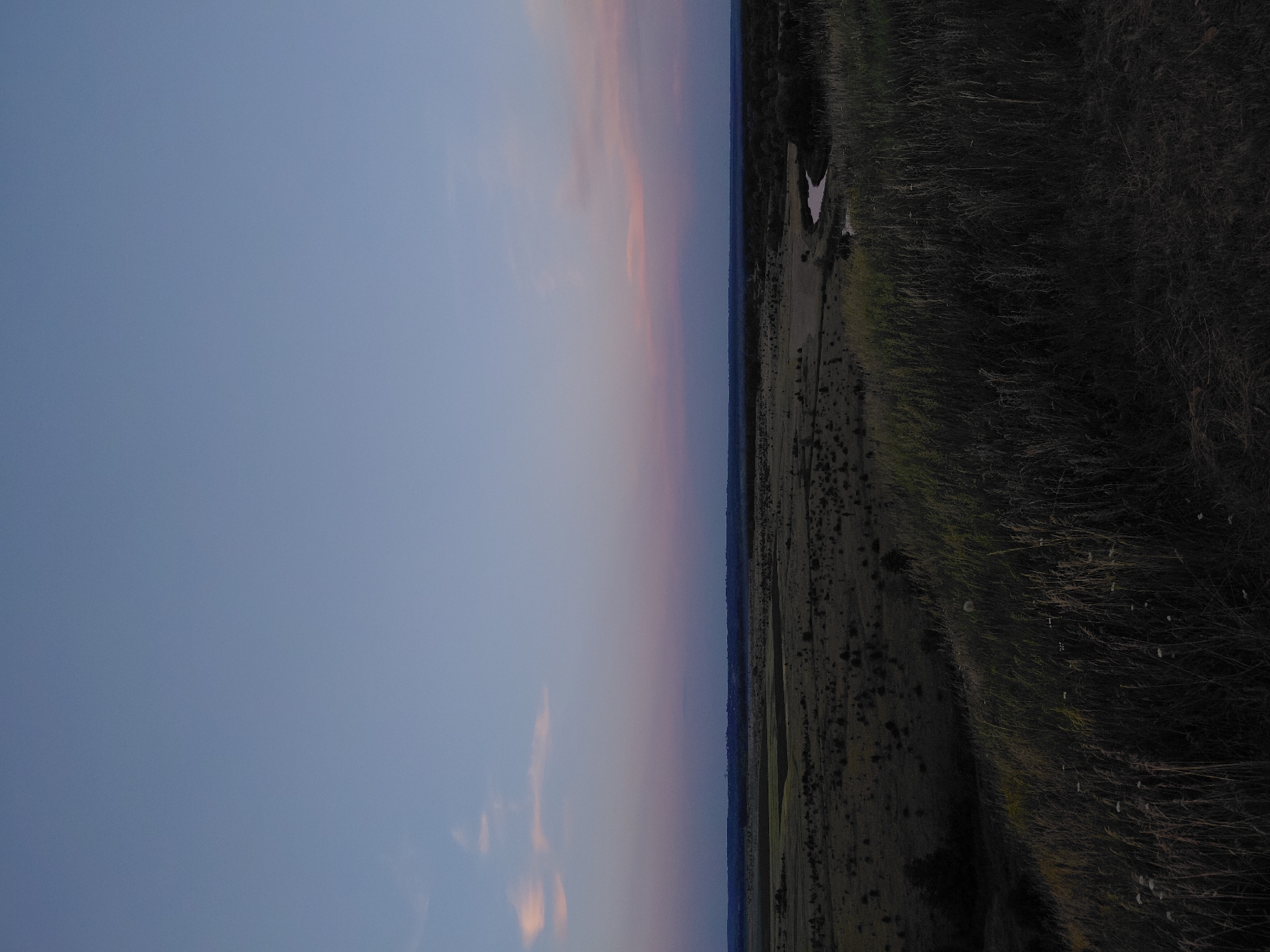This is a photograph of a landscape taken at dusk. The image is oriented vertically, with the sky occupying the left half and the ground occupying the right half. The sky is a gradient of soft blues and pinks, indicating the presence of clouds catching the last rays of the setting sun. In the distance, a thin strip of dark blue suggests a body of water or a valley.
The ground is a mix of sparse vegetation, sandy areas, and dense, dry grass that dominates the right side of the frame. A dirt path or road is visible, winding its way through the landscape. A small, white object, possibly a piece of debris or a sign, is situated on the right side of the path. The overall impression is one of a natural, open space at the end of the day. The lighting suggests a calm and serene atmosphere. There is no visible text in the image.