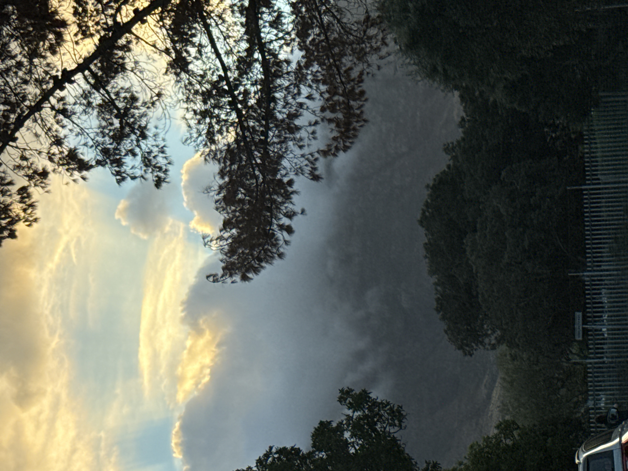 The image depicts a scene in Cape Town, South Africa, viewed through trees. The sky is partially cloudy with some areas illuminated by sunlight. A forested area appears dense and dark. A vehicle and part of a building structure are visible on the right. Rain appears to be falling between the trees and the forested area.
