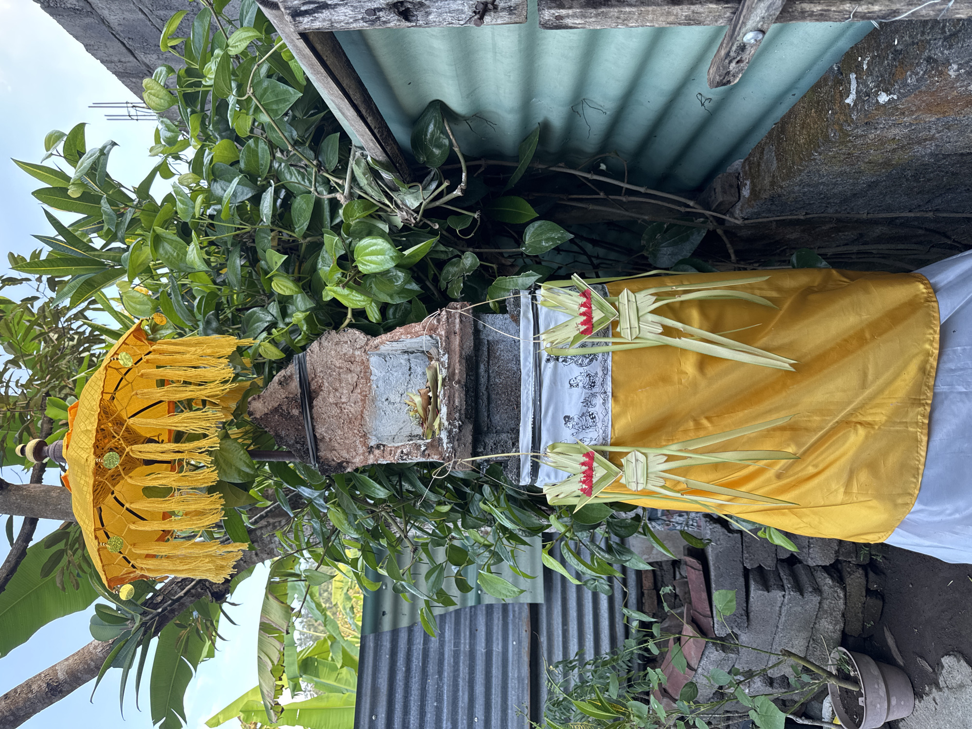 A religious altar, likely a shrine, is depicted outdoors in the village of Busungbiu, Indonesia. The altar is adorned with a bright yellow umbrella featuring tassels and decorative beads. Hanging from the altar are two woven figures, possibly made of palm leaves, with red accents at their heads, resembling stylized human figures. A white cloth with black line drawings of figures is draped around the altar, topped by a vibrant yellow fabric. The shrine itself appears to be made of brick and stone, with small offerings placed on a ledge. Lush green vegetation surrounds the altar, with larger banana leaves visible in the background. The scene is framed by corrugated metal and a rough-hewn wooden structure. The ground is dirt and small stones, with a potted plant to the left. The lighting suggests it is daytime, with sunlight filtering through the leaves.