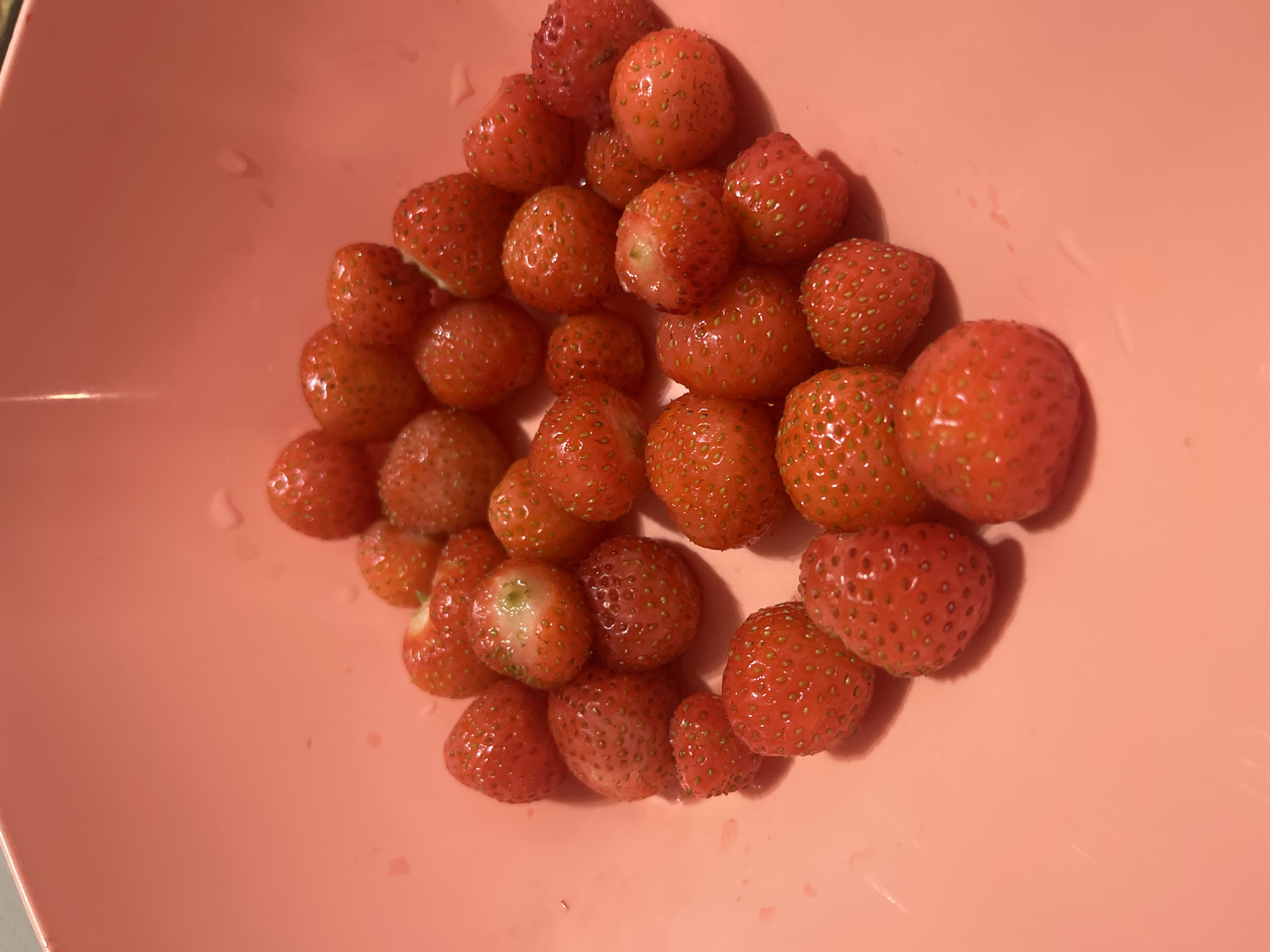 A pink bowl filled with fresh strawberries is displayed against a matching pink background. The strawberries, varying in size, are plump and red, with visible seeds. Some strawberries show signs of being bitten or are slightly damaged. The surface of the bowl appears slightly wet, with a few water droplets visible. The scene is captured from a top-down perspective. There are no people present in the image. The provided image does not contain any information that would allow for the determination of its location in Shadrinsk, Russia.
