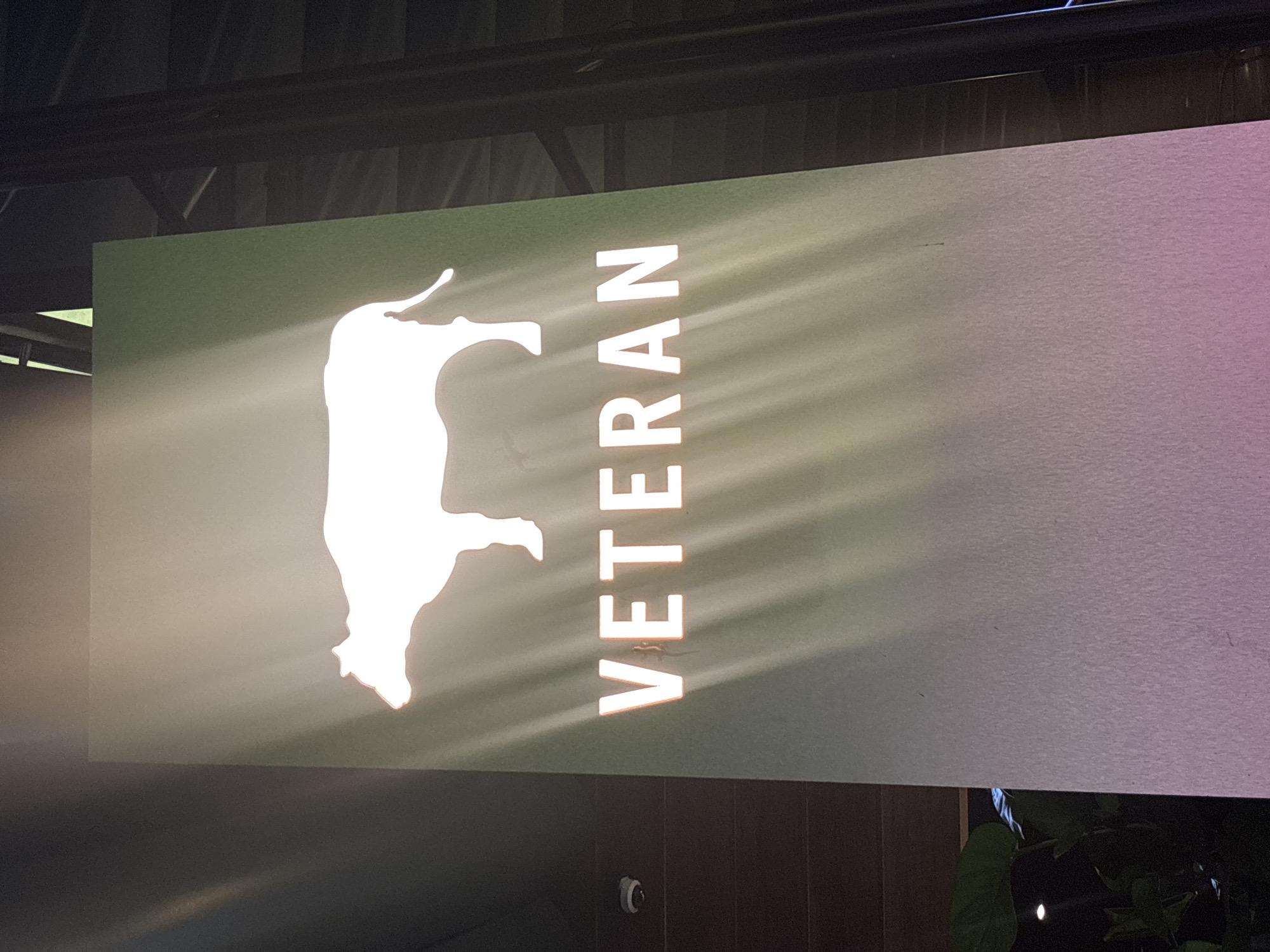 A brightly lit sign with a white silhouette of a cow and the word "VETERAN" in large white block letters is mounted on a tall, rectangular panel. The panel transitions in color from dark green at the top, where the cow is located, to a lighter, speckled gray-purple at the bottom. The sign is illuminated by spotlights, creating a halo effect around the cow and a strong glow around the letters. To the left of the sign, a dark wooden wall is visible, with a small white security camera mounted on it. A portion of a leafy green plant is also visible on the lower left. To the right of the sign, dark, shadowy structures, possibly part of a building's exterior, are present, along with vertical beams. The scene appears to be outdoors, possibly at night or in a dimly lit area, given the strong artificial lighting on the sign. The location is identified as Đà Nẵng, Vietnam.