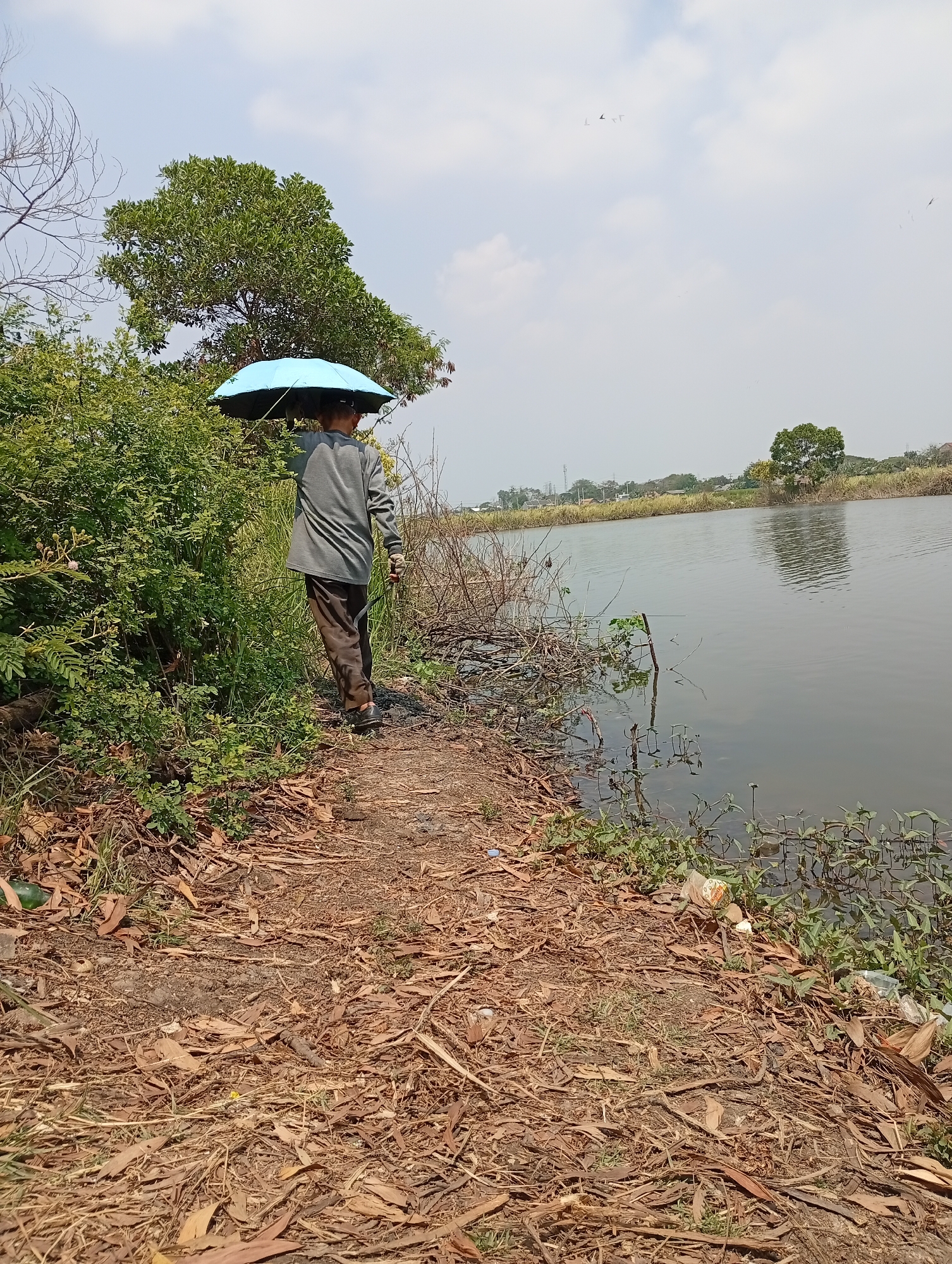 A person walks along a dirt path next to a body of water, holding a blue umbrella over their head. The person is wearing a gray long-sleeved shirt and brown pants. The path is covered with dry leaves and branches. Lush green bushes are on the left side of the path, and the water on the right is calm with some vegetation growing along its edge. In the distance, trees and buildings can be seen, suggesting an urban or semi-urban environment. The sky is partly cloudy. This scene is likely located in the rural outskirts of Karangmukti, Indonesia, given the natural elements and hints of human settlement in the background.
