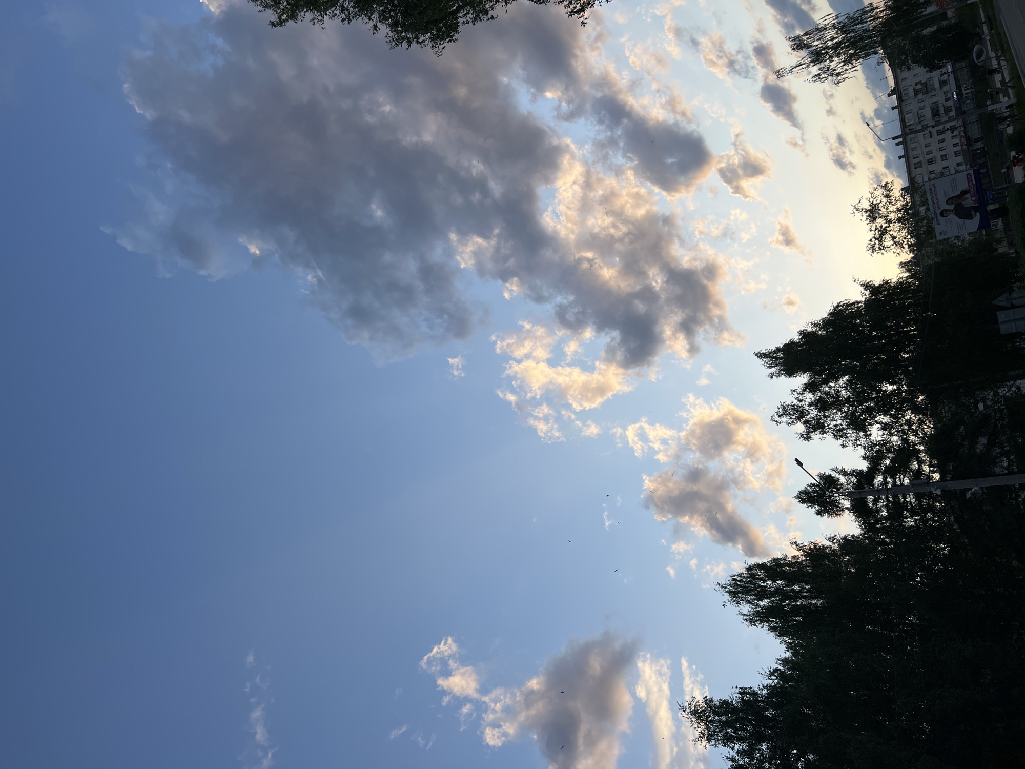 The image shows a view of the sky with clouds, possibly taken in the city of Chaikovsky, Russia. The clouds are a mix of white and gray, suggesting either the beginning or end of the day, with the sun possibly setting. The lower portion of the image shows silhouetted tree tops in the foreground, with some buildings visible in the background. A street light is visible amongst the trees. The scene appears to be a residential area in Chaikovsky. There are no people visible in the cropped images.