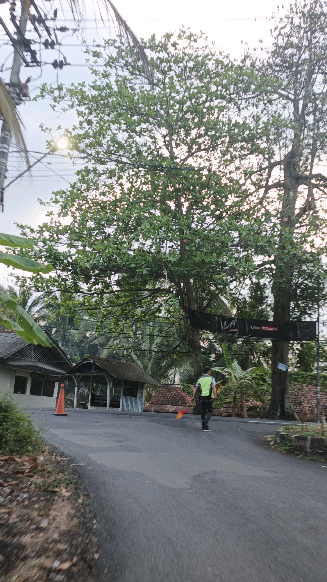 The image depicts a street scene in Desa Karangbenda, Indonesia, with a person walking away from the camera. The individual is wearing a dark cap, a bright green safety vest over a dark shirt, and dark pants. They are carrying a small flag, red on one side and yellow on the other.
The setting appears to be a rural or semi-rural road with a paved surface. To the left of the road, there is an orange traffic cone placed near a building with a dark-tiled roof and white walls. Further down the road, there are several small structures with pitched roofs, some with blue and white striped awnings or walls.
Dominating the background are large, leafy trees, one of which has a black banner attached to it with text that appears to read "LA LIVE BOLD". Palm trees and other tropical vegetation are visible between the trees and behind the buildings. Utility poles and wires are present on the left side of the image. The sky is overcast, suggesting it might be early morning or late afternoon. The overall impression is of a quiet, possibly residential area in a tropical climate.
