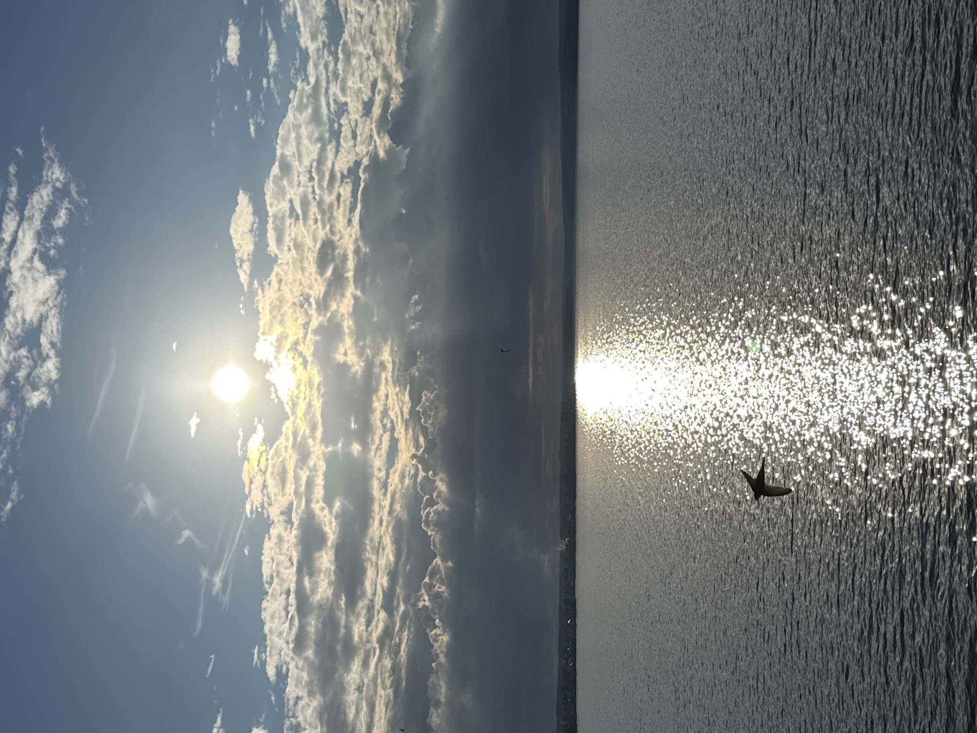 A bird is flying over the dark, rippling water of the Votkinsk Reservoir in Votkinsk, Russia. The sun is bright and partially obscured by dramatic, dark clouds with rays of light shining through. The sun's reflection creates a shimmering path on the water's surface. In the distance, the silhouette of a shoreline with trees and buildings is visible.