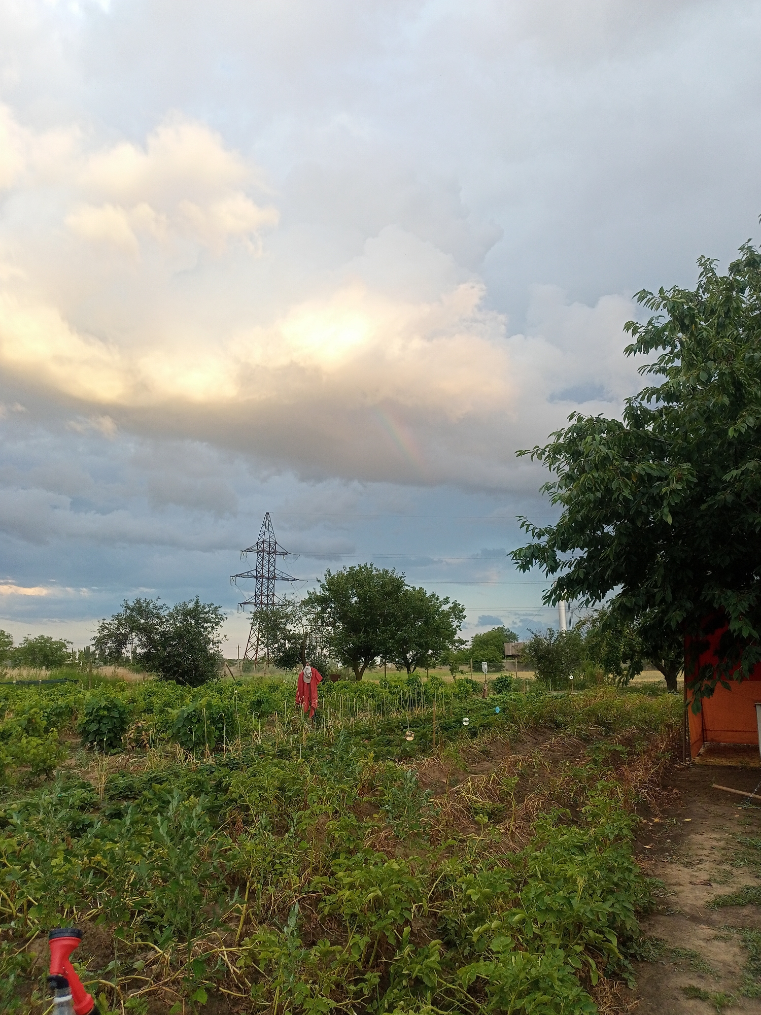 An outdoor, low-angle, wide shot captures a farm field with a scarecrow in the middle ground. The field is filled with green plants, and a red scarecrow wearing a white backpack stands prominently in the center of the frame. In the background, a power line tower dominates the horizon, with trees scattered throughout the landscape. The sky above is filled with dramatic clouds, illuminated by the sun breaking through, creating a somewhat surreal atmosphere. To the right, a small orange building is visible, partially obscured by the leaves of a large tree. The image appears to be taken in the city of Salhany, Ukraine.