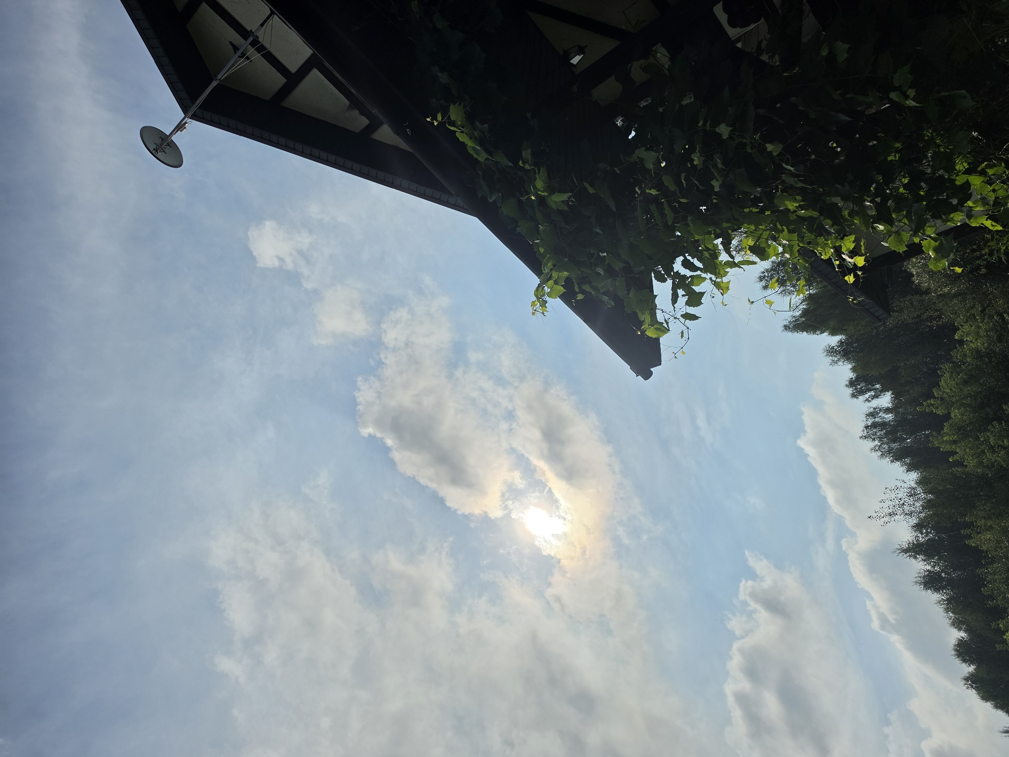 The image captures a low-angle view of a partially visible building roof and a lush green vine against a bright sky with scattered clouds. The sun is visible, peeking through a gap in the clouds, casting a soft glow. A satellite dish is mounted on a pole extending from the roof. In the background, a dense line of trees is visible, suggesting a natural or semi-rural setting. The image is oriented with the roof in the upper right quadrant and the sky dominating the upper left. The scene is static and appears to be taken outdoors during daylight.