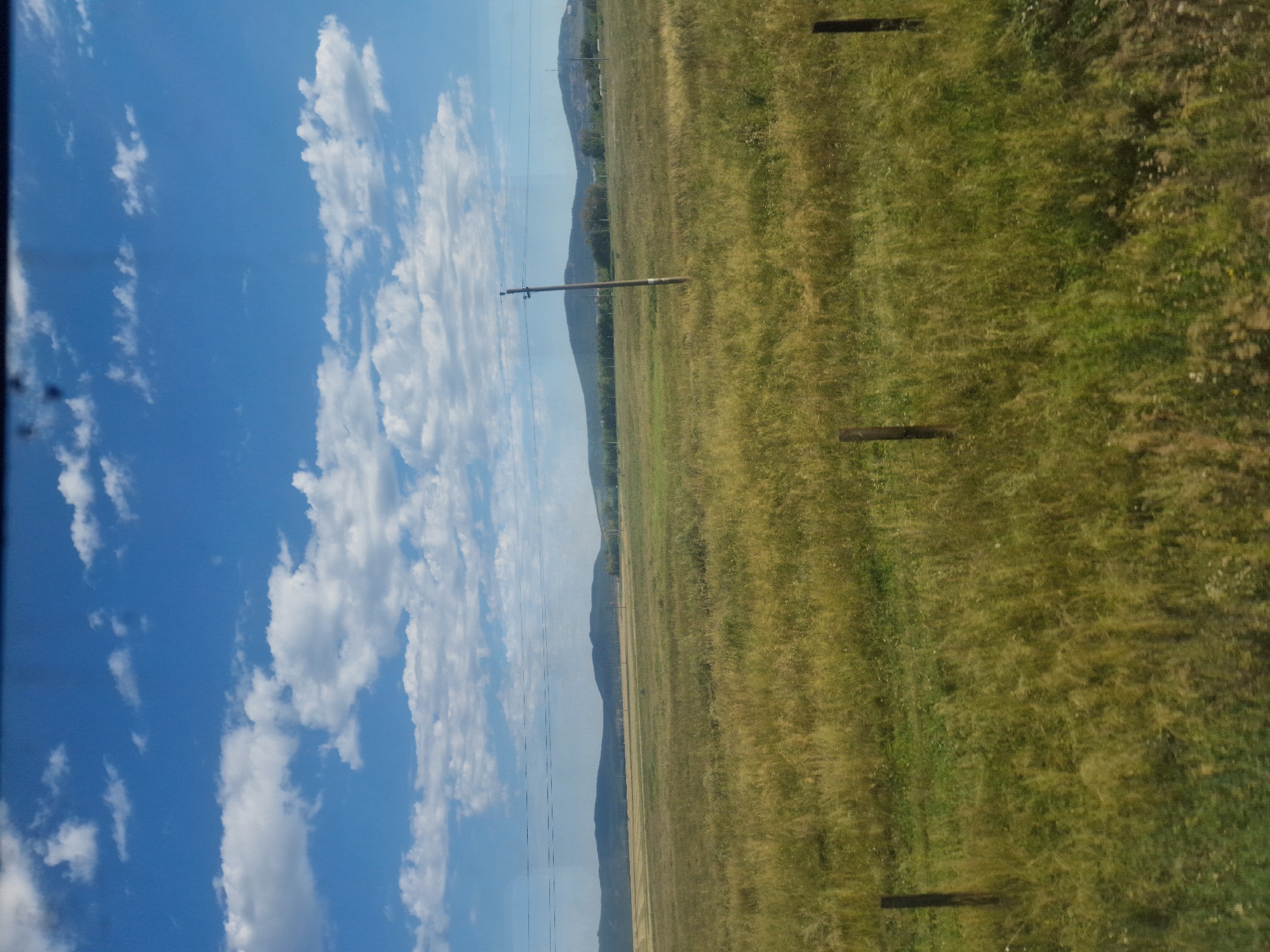 An image taken from a moving vehicle captures a vast, sunlit grassy field under a bright blue sky with scattered white clouds. In the foreground, tall, dry grass with hints of green dominates the landscape, with two fence posts visible on the left and right edges. A single, weathered wooden utility pole stands tall in the middle of the field, with thin power lines stretching horizontally across the scene. In the distance, rolling hills with a darker green hue form a natural horizon, partially obscured by the haze of the open space. The scene appears to be a rural landscape in the Абылайхан ауылдық округі region of Kazakhstan, likely during daytime.