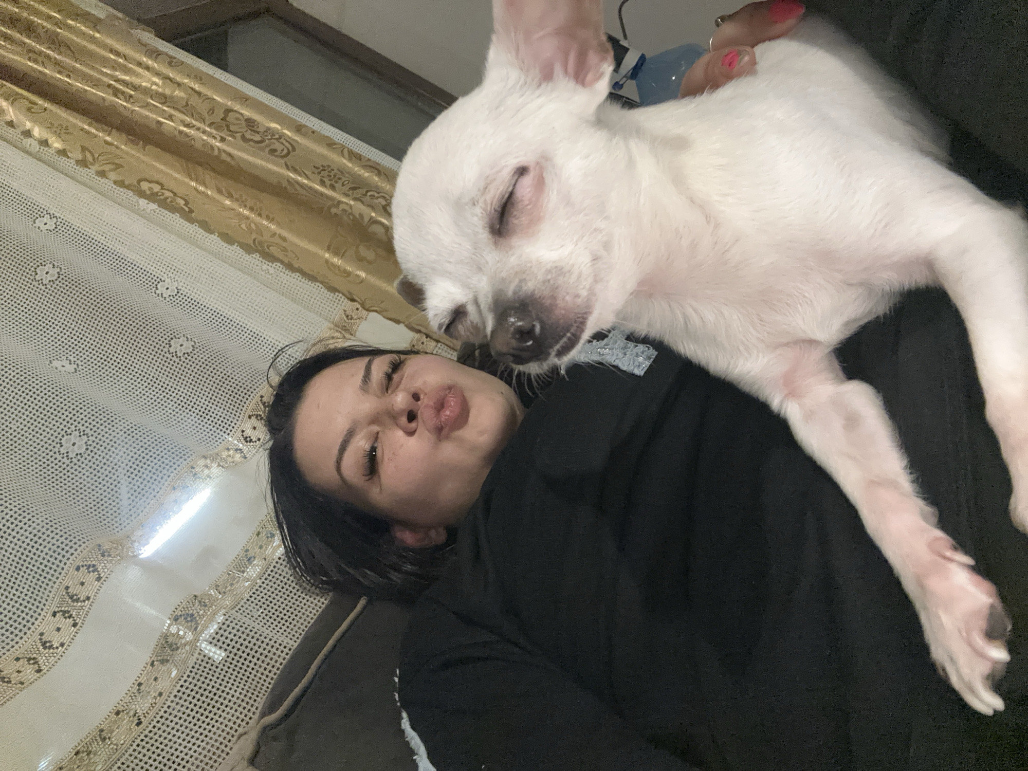 A woman is lying down with a white chihuahua on top of her. The woman is wearing a black shirt, and her face is close to the camera with her lips pursed. The dog has its eyes closed and is resting its head on the woman's shoulder. The background includes a curtain with a pattern and a window. The location is unclear. It is unknown if this image was taken in Chubra, Bulgaria.