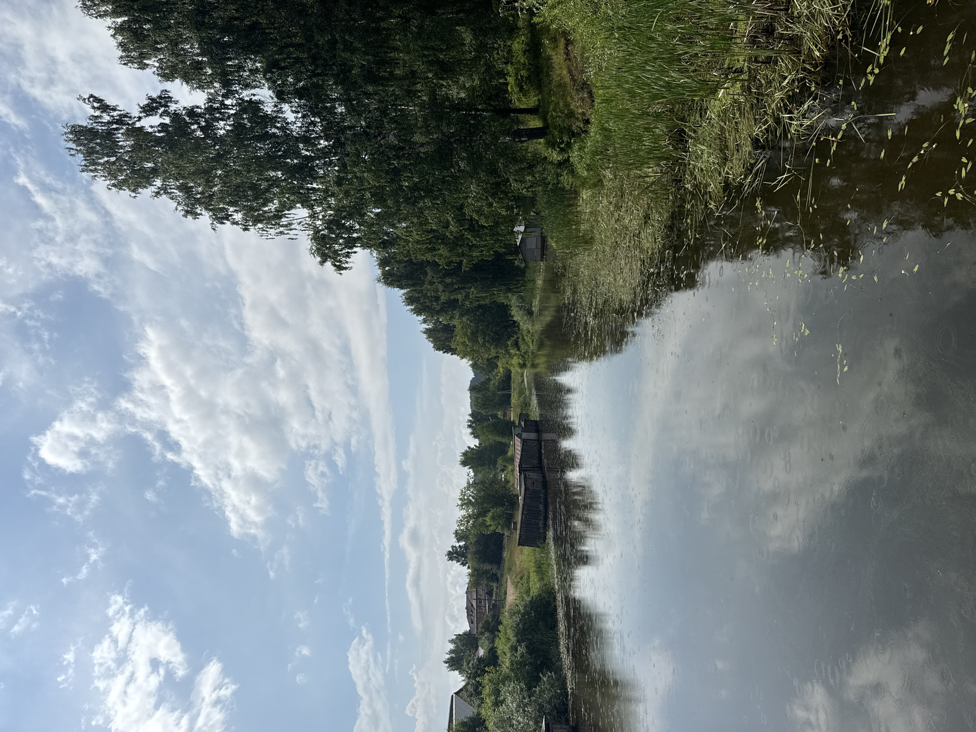 This is a landscape photograph taken from a vantage point overlooking a body of water, likely a river or canal, in Chastyye, Russia. The sky is predominantly blue with scattered white, fluffy clouds. On the left side of the frame, there is a grassy bank with some vegetation, and in the distance, a few houses and trees are visible. A wooden structure, possibly a boat shed or dock, is situated along the water's edge. The water itself is dark and reflects the sky and surrounding greenery. On the right side of the image, tall, dense trees with dark green foliage dominate the scene, with some reeds and aquatic plants growing along the edge of the water. The overall impression is of a natural, tranquil setting.
