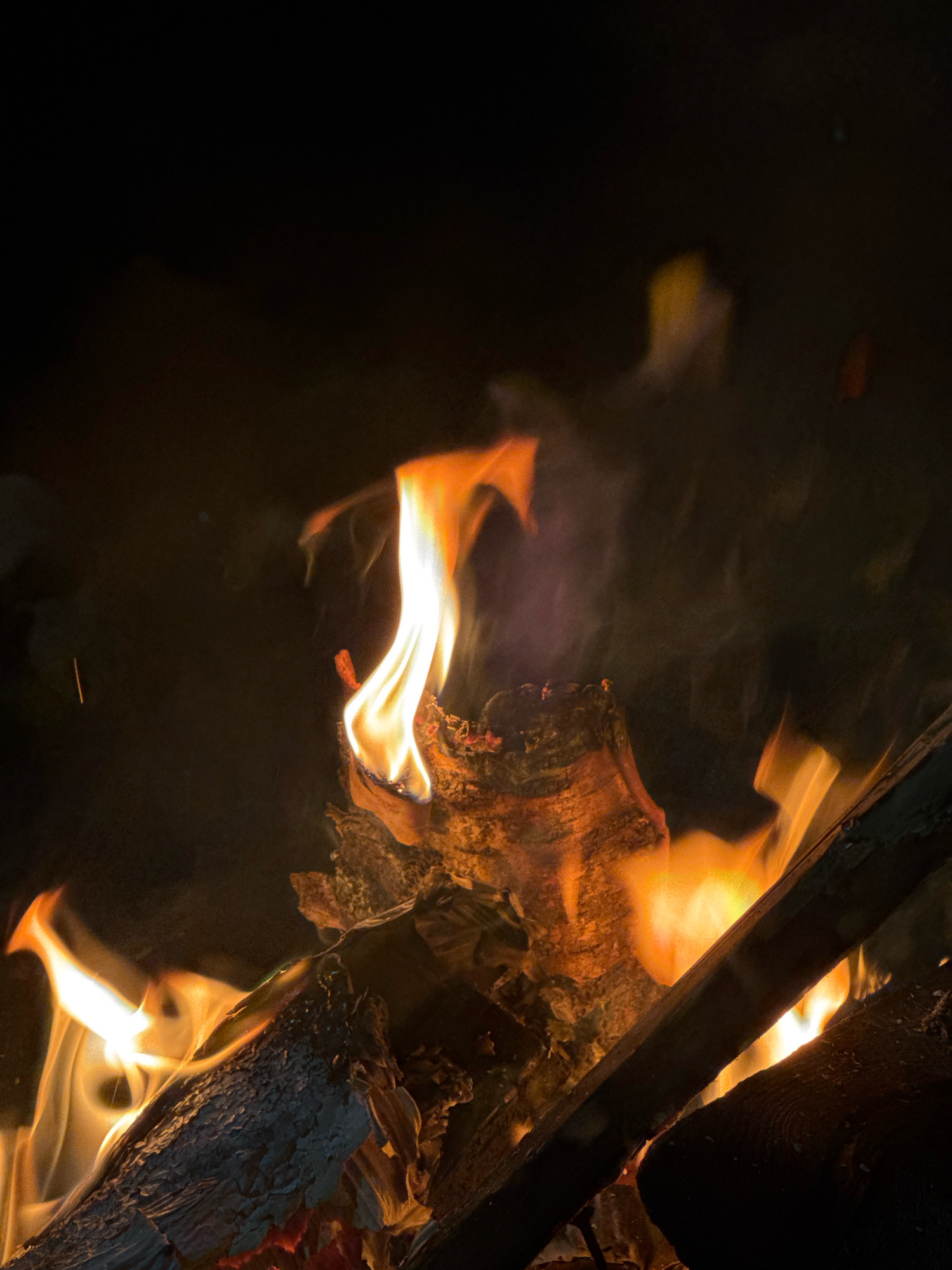 This is a close-up, low-angle, full-frame, vertical shot of a campfire at night. The scene is dimly lit, with the primary illumination coming from the bright orange and yellow flames of the burning wood. The wood itself is a mix of rough, textured logs, some appearing charred and smoldering. The flames are dynamic and fluid, with wisps of smoke curling upwards and obscuring parts of the background, which is predominantly black and out of focus. There are no people visible in the image. The environment appears to be outdoors, likely in a natural setting, as suggested by the presence of firewood. The image quality is slightly grainy, consistent with low-light photography. The location is specified as Kempelevo, Russia, suggesting this is a domestic campfire scene rather than a wilderness one.