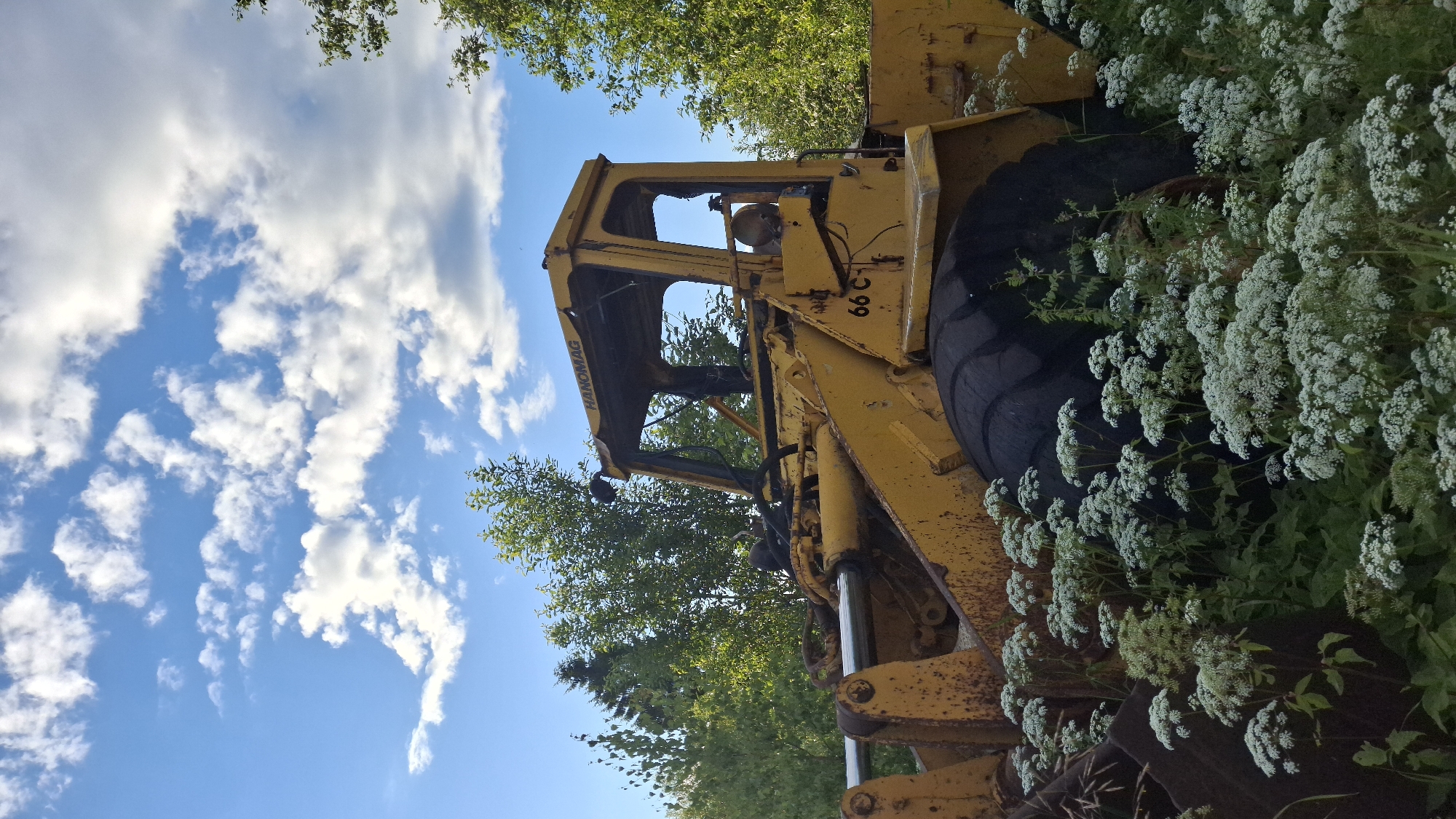 This media file depicts an old, yellow, abandoned construction vehicle, likely a bulldozer or loader, nestled in overgrown vegetation. The machine is mostly obscured by a dense growth of white wildflowers and green foliage, with a large, worn tire prominently visible. The cabin of the vehicle is open, revealing a hint of a person inside, possibly an older man wearing a light-colored cap and shirt.
The scene is set outdoors under a bright blue sky dotted with fluffy white clouds. The sun appears to be high, suggesting it is midday. Lush green trees frame the top and sides of the image, indicating a natural, perhaps rural or wilderness setting. The presence of rust on the construction vehicle and the encroaching plant life suggest it has been stationary for a considerable time.
Visible text on the vehicle includes "HAMOMAG" on the side of the cabin and "66 C-" painted on the side panel above the tire. The overall mood is one of stillness and decay, with nature reclaiming the man-made object. The image is oriented vertically, with the sky appearing on the left side. The location context provided is Innolovo, Russia.