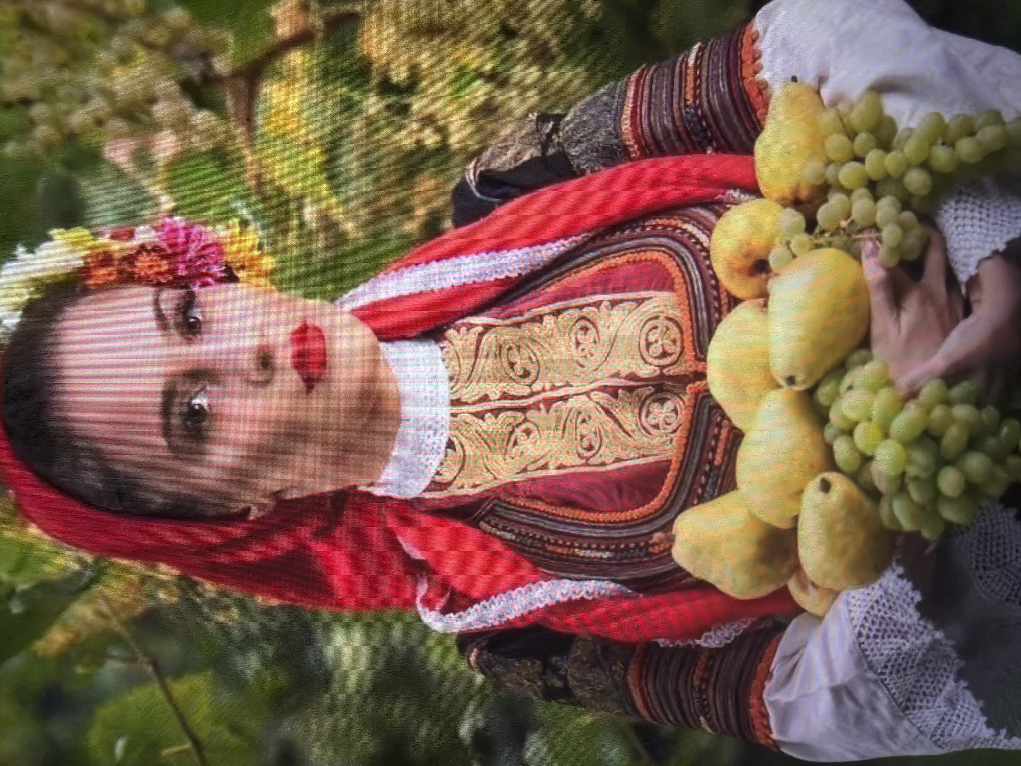 An adult female is depicted in a posed, chest-up portrait shot against a soft-focus background of green and yellow foliage, indicating an outdoor setting in the city of Shumen, Bulgaria. The subject has dark hair pulled back and wears a vibrant red headscarf, complemented by a multi-colored floral arrangement on the left side of her head. She is attired in what appears to be traditional Bulgarian folk costume, featuring an elaborately embroidered garment with red and gold patterns on the bodice, a white high collar with a textured edge, and white long sleeves with patterned cuffs. Her face shows distinct makeup, including winged eyeliner and bright red lipstick, and she gazes directly at the viewer with a composed expression. Both hands are visible at the bottom of the frame, holding a collection of fruit that includes several yellow-green pears and multiple bunches of light green grapes.