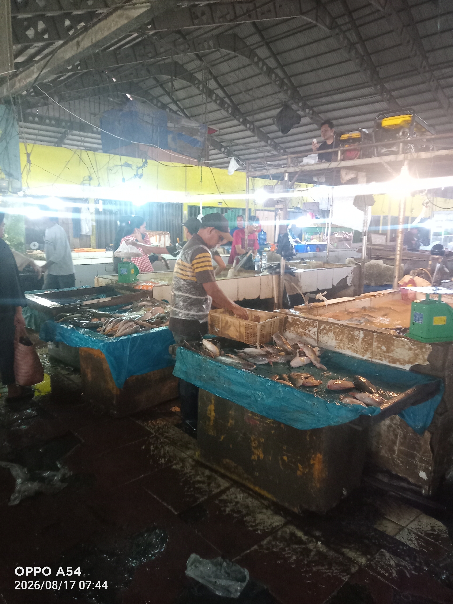 The image depicts a bustling fish market in Jambi, Indonesia, likely located at the Pasar Higienis Jambi. The scene is characterized by several stalls displaying fresh fish on ice, covered with blue tarps. In the foreground, a man wearing a striped shirt is seen sorting fish, with baskets and more fish visible around him. Several other individuals are present, engaged in transactions or tending to the fish. The market appears to be indoors, with a corrugated metal roof and overhead lighting. The floor is wet, suggesting a typical market environment. The timestamp on the image indicates it was taken on August 17, 2026, at 07:44 AM.