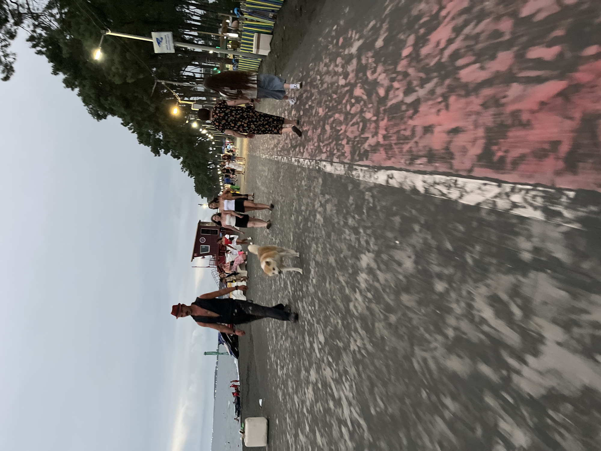 In Ureki, Georgia, a man wearing a red fedora and a black vest walks with a medium-sized dog on a paved promenade next to a beach. The man's left hand is in his pocket, and he is looking down. The dog, with tan and white fur, is walking ahead of him. In the background, other people are walking along the promenade and sitting on benches. A red lifeguard tower is visible behind some of the people. The sky is overcast, and trees line the right side of the promenade, with streetlights interspersed among them. The sea is visible in the distance on the left. The promenade has a painted red and white striped pattern.
