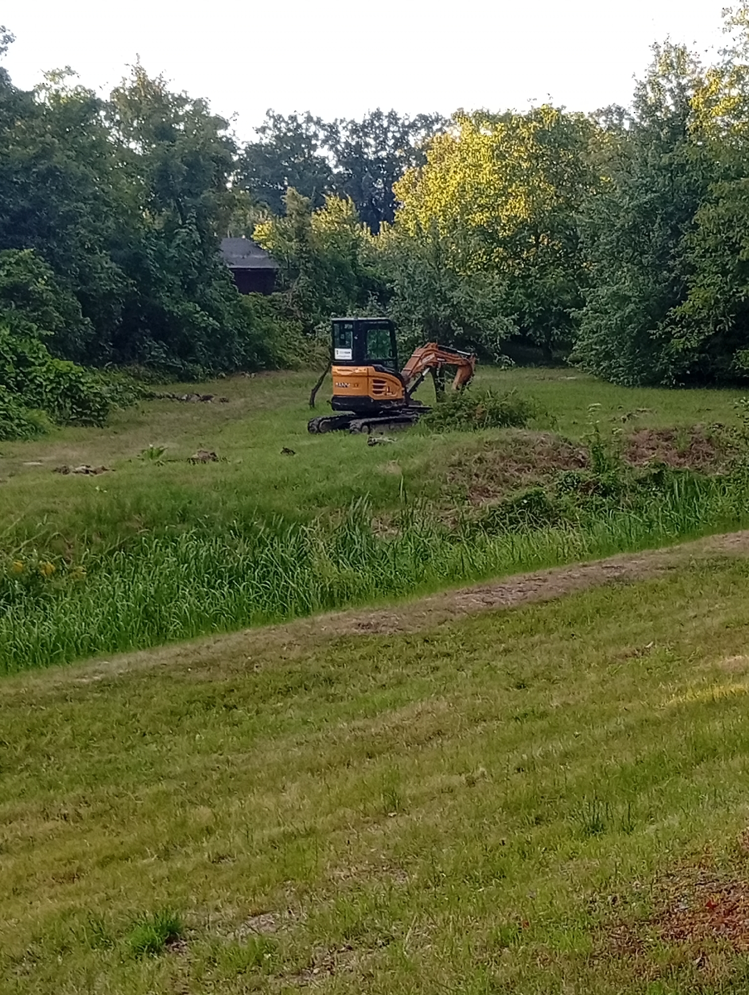 An orange and black excavator is parked in a grassy area surrounded by trees. The excavator is small, with a tracked base and an articulated arm. It appears to be stationary. The area is overgrown with grass and some bushes. In the background, there are dense trees, and a small dark-colored building is partially visible through the foliage. The sky is overcast and bright. This scene is located in Wrocław, Poland, likely in a park or a less-developed area on the outskirts of the city.