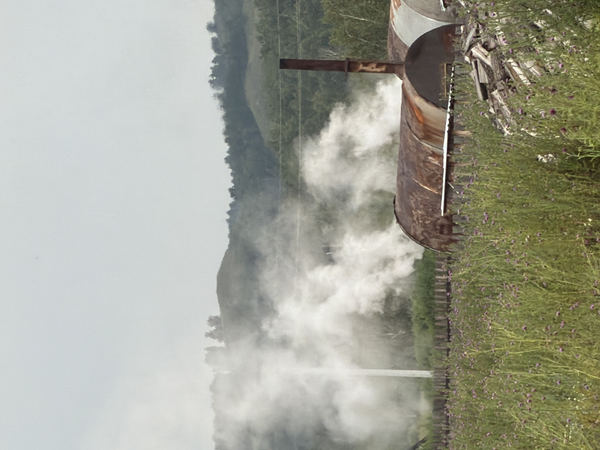 The image shows a rural scene with several large, rusty metal cylinders, likely kilns or tanks, emitting white smoke. In the foreground, a field of tall green grass with small purple flowers is visible. Behind the kilns, there is a wooden fence and further in the background, a treeline and rolling hills under an overcast sky. A pile of chopped wood sits to the right of the frame. The overall impression is one of an industrial or agricultural operation in a natural setting.