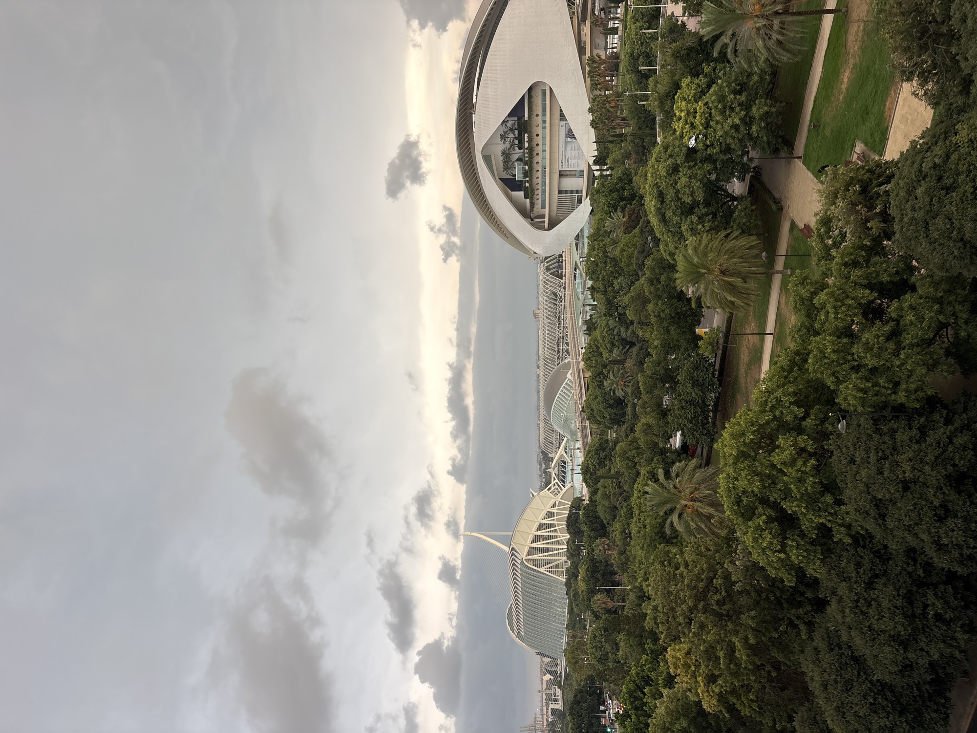 The image captures a panoramic view of the City of Arts and Sciences in València, Spain, under an overcast sky. In the foreground, a lush expanse of trees, including palm trees and dense foliage, dominates the scene. Beyond the greenery, several iconic architectural structures of the complex are visible.
To the left, the Palau de les Arts Reina Sofía, with its striking white sail-like structure and glass facade, stands prominently. Its intricate white framework is clearly discernible. To its right, the Hemisfèric, shaped like a giant eye, is another key feature, its white, curved exterior contrasting with the darker sky. In the background, other buildings of the complex, possibly the Museu de les Ciències Príncipe Felipe and L'Oceanogràfic, are visible as long, curved structures.
The environment appears to be a park or garden area surrounding the architectural complex, with pathways, benches, and streetlights integrated into the landscape. A road with some traffic, including cars and a bus, can be seen on the left side of the image, suggesting an urban setting. The overall impression is of a modern, artistic, and green urban space. The lighting suggests it is either early morning or late afternoon, given the diffused light and the presence of clouds.