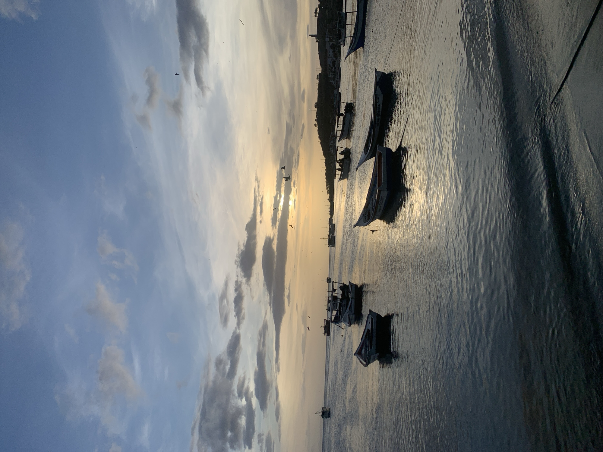 The image captures a serene seascape at dusk, likely in Juan Griego, Venezuela. The sky is a gradient of soft blues and oranges, with scattered clouds and several birds in flight. The calm water reflects the sky and the silhouettes of numerous small fishing boats anchored offshore. These boats vary in size and design, some appearing empty while others have faint outlines of people onboard. The horizon is marked by a distant coastline with a few buildings and a prominent lighthouse structure. The foreground shows the gentle movement of the water close to the shore, with visible ripples and a dark rope extending into the frame. The overall atmosphere is tranquil and evokes the end of a day's fishing activities in this coastal Venezuelan town.
