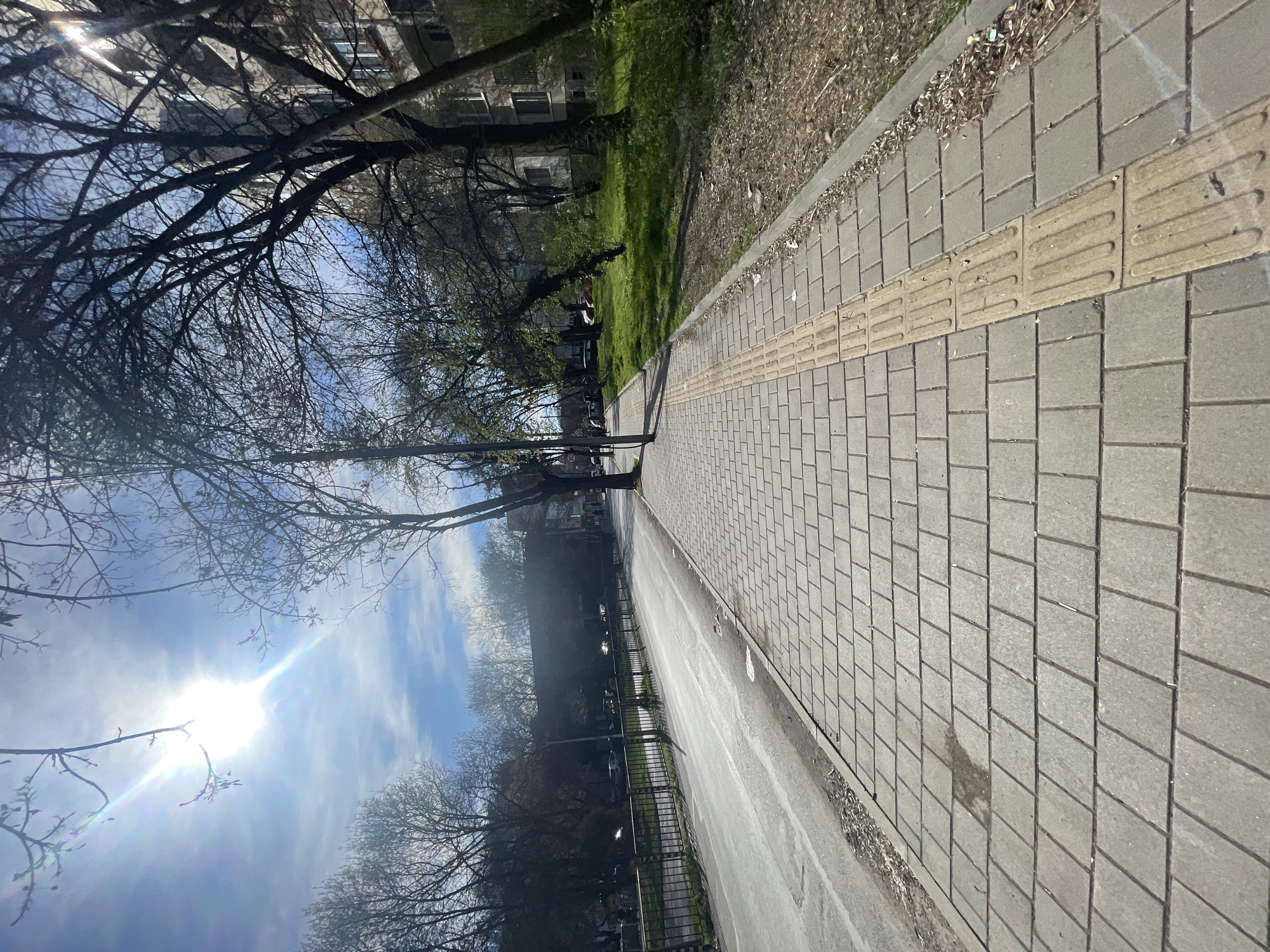 The image shows an urban street scene in Sofia, Bulgaria, during daylight. A paved sidewalk runs along the right side of the frame, featuring tactile paving with raised bars for visually impaired pedestrians. Adjacent to the sidewalk is an asphalt road bordered by a green strip and a metal fence. Trees with bare branches line the street, obscuring buildings and sky. The sun shines brightly, creating a lens flare effect. In the distance, a person stands on the sidewalk.