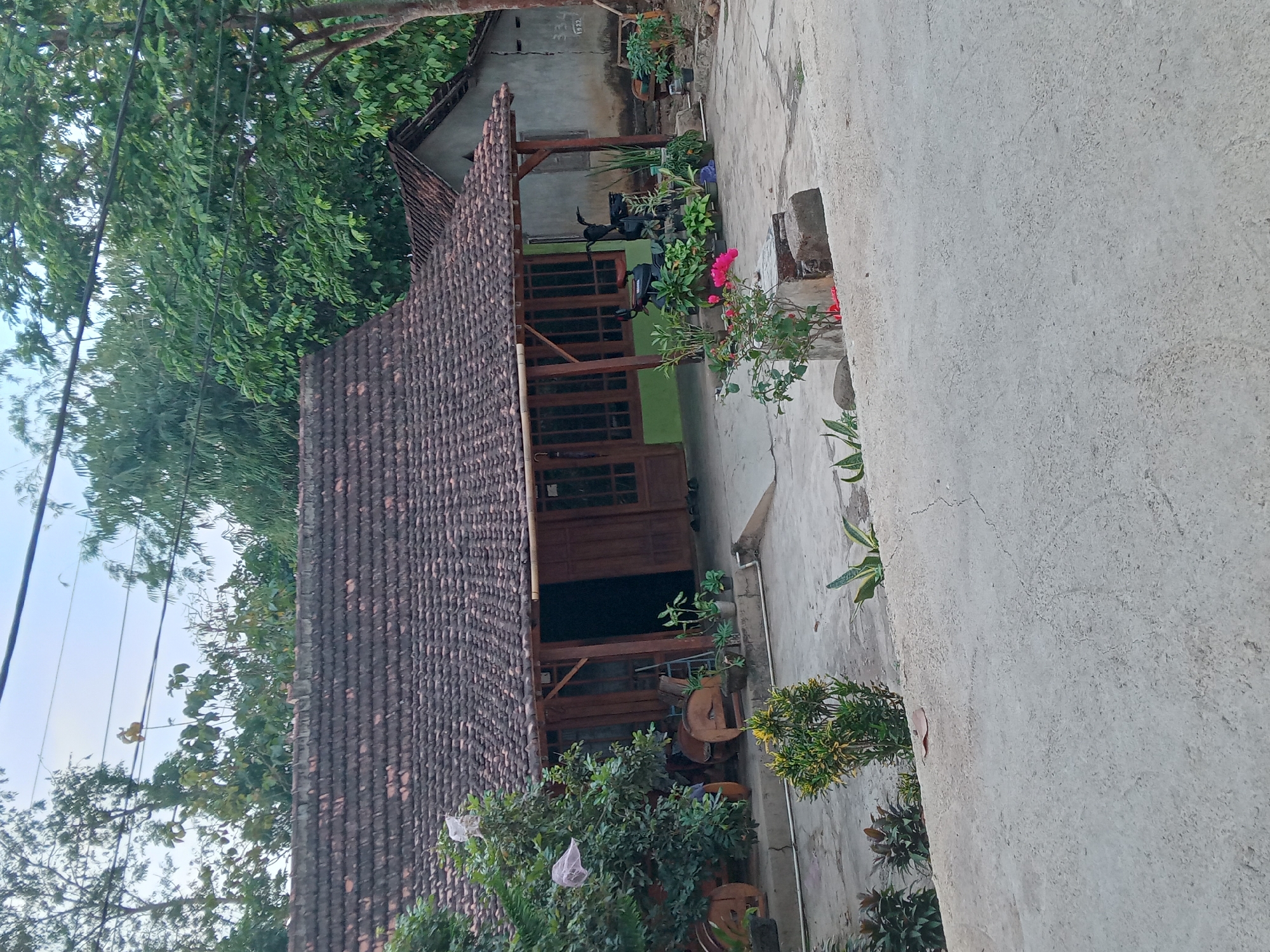 The image depicts a traditional Indonesian house with a brown tile roof and wooden accents, situated in Kedunggudel, Indonesia. The house has a light green wall and wooden doors and windows. In front of the house, there is a paved yard with several potted plants and a bicycle. To the right of the main house, a smaller, less ornate structure with a gray wall is visible. Trees and foliage surround the property, and electrical wires run overhead. The scene appears to be a residential area, possibly in a rural or semi-rural setting within Kedunggudel.