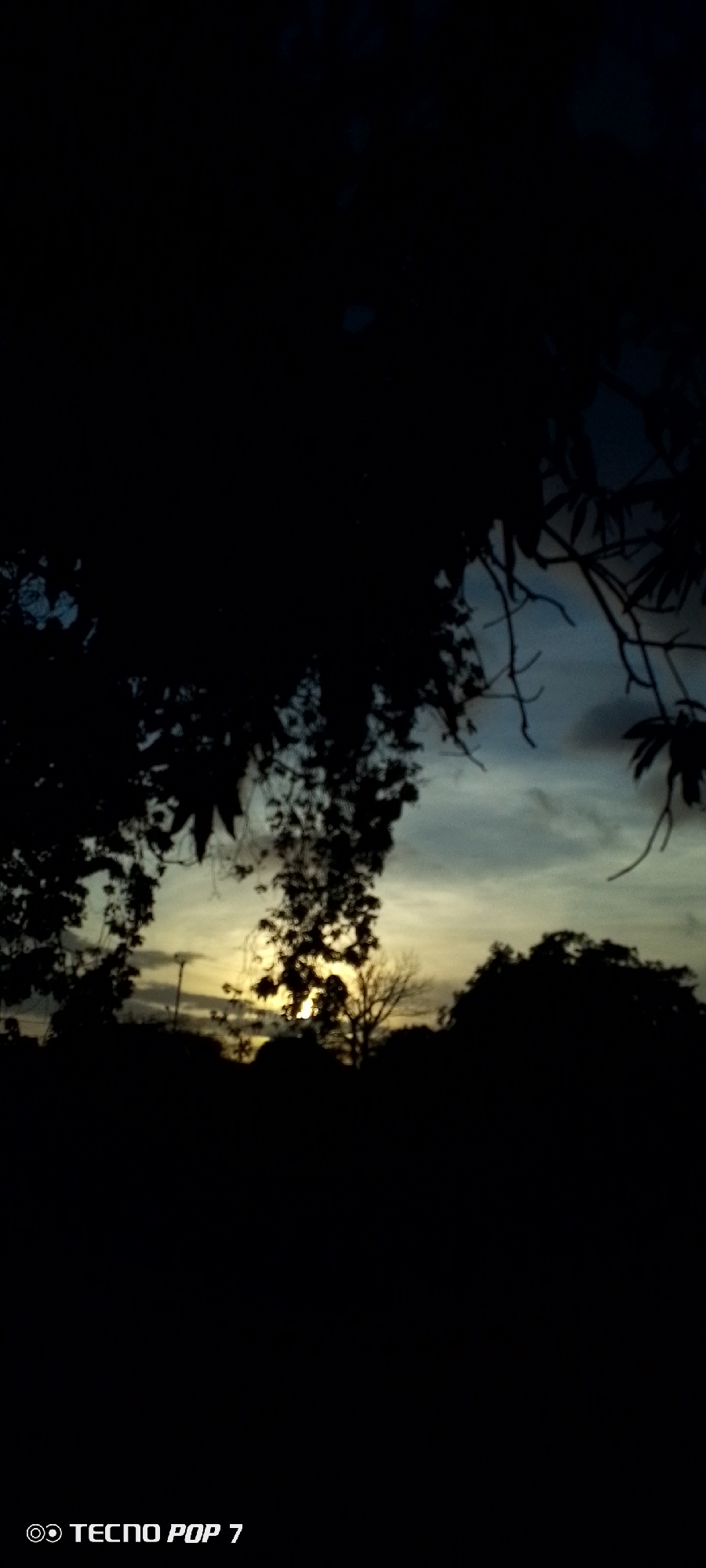 The image depicts a silhouetted landscape at dusk, likely in Altagracia, Venezuela. The foreground is dominated by the dark outlines of trees and foliage, with branches extending into the frame. In the middle ground, a band of trees and vegetation is also silhouetted against the sky. The sky itself features a gradient of colors, transitioning from a pale yellow or orange glow near the horizon, indicative of the setting sun, to darker blues and grays above. Wispy clouds are visible in the sky. The bottom left corner of the image contains a watermark with the text "TECNO POP 7". No people or specific actions are visible in the image. The scene suggests a natural or semi-natural environment on the outskirts of a city or within a park area.