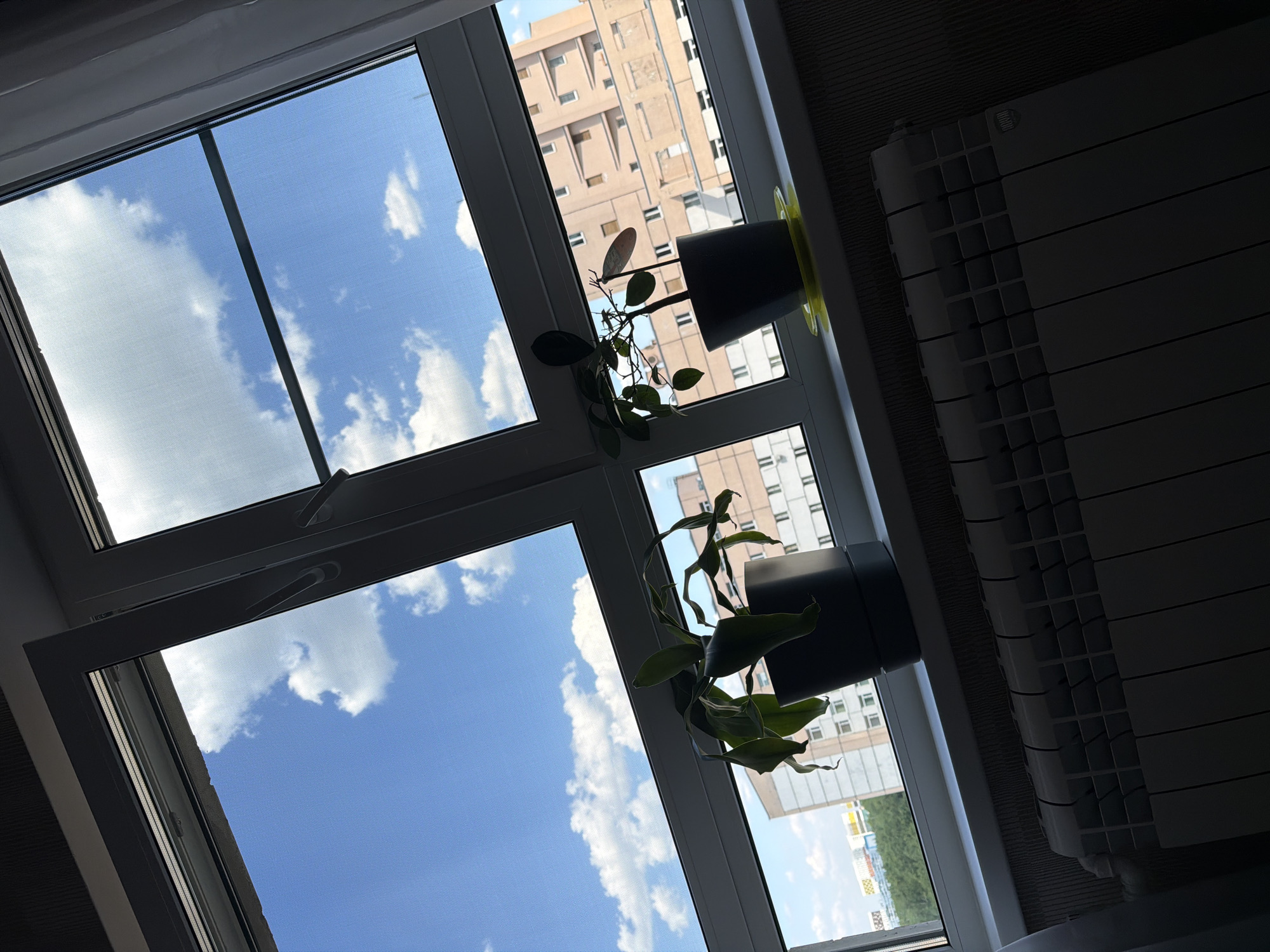 A sunlit interior shot captures a view through a modern, multi-pane window. The window overlooks a city skyline with buildings and a bright blue sky dotted with white clouds. On the windowsill, two potted plants are positioned. The plant on the left is in a dark pot and appears larger with broad, green leaves. The plant on the right, also in a dark pot with a yellow saucer, is smaller with fewer, more delicate leaves. Below the windowsill, a white radiator is visible. The scene is characterized by natural light illuminating the window and its contents, with the city view providing a backdrop. The image is taken from a slightly upward angle, emphasizing the sky and the elevated perspective of the apartment.