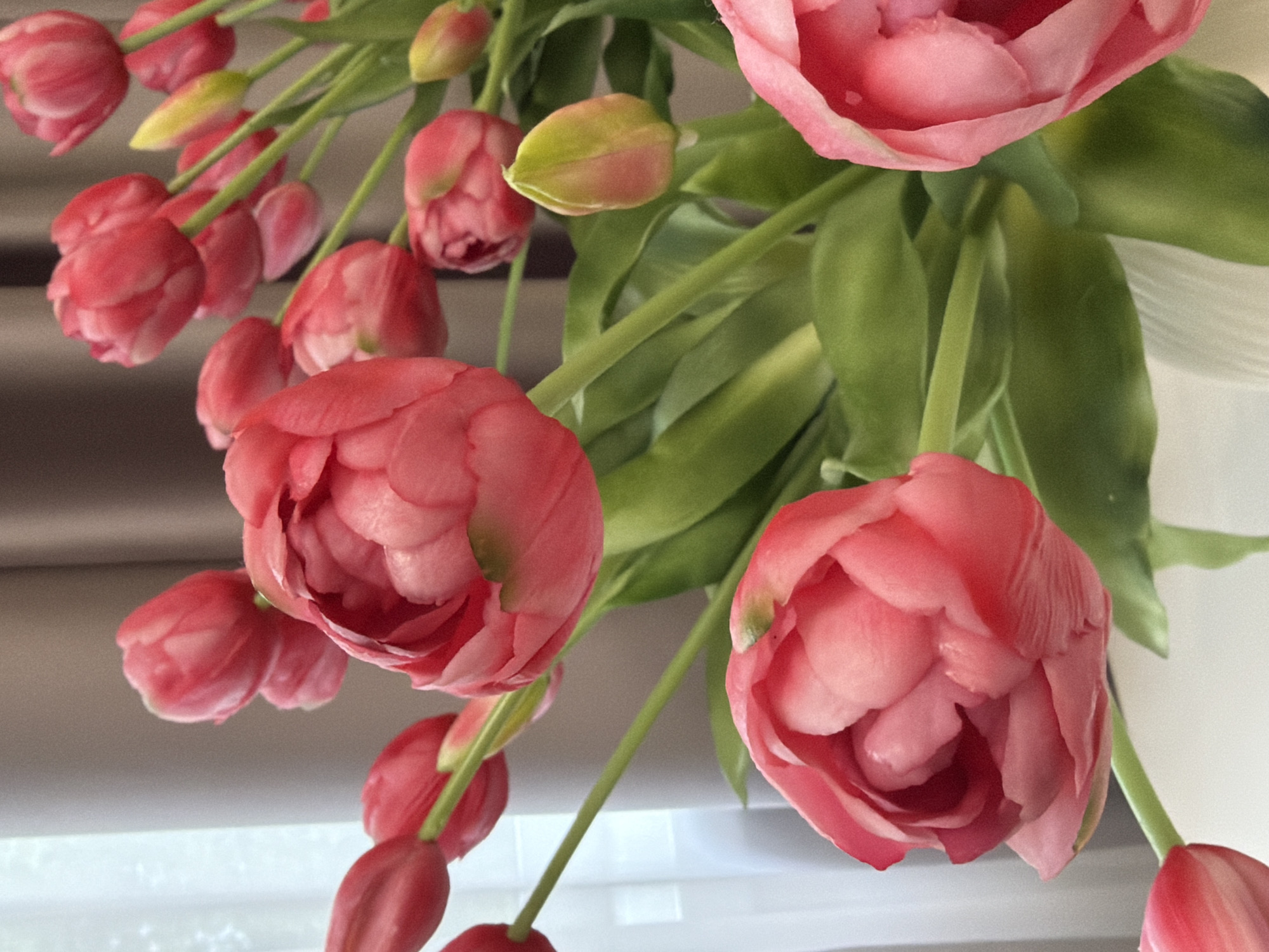 A close-up shot captures a bouquet of pink double-petal tulips, some in full bloom and others as buds, with vibrant green stems and leaves. The tulips are arranged in a white vase, not fully visible. The background features a light-colored sheer curtain on the left and brown drapery on the right, suggesting an indoor setting. The lighting is soft, highlighting the delicate texture of the petals and the lushness of the foliage. The image does not contain any people or indicate a specific city or location.