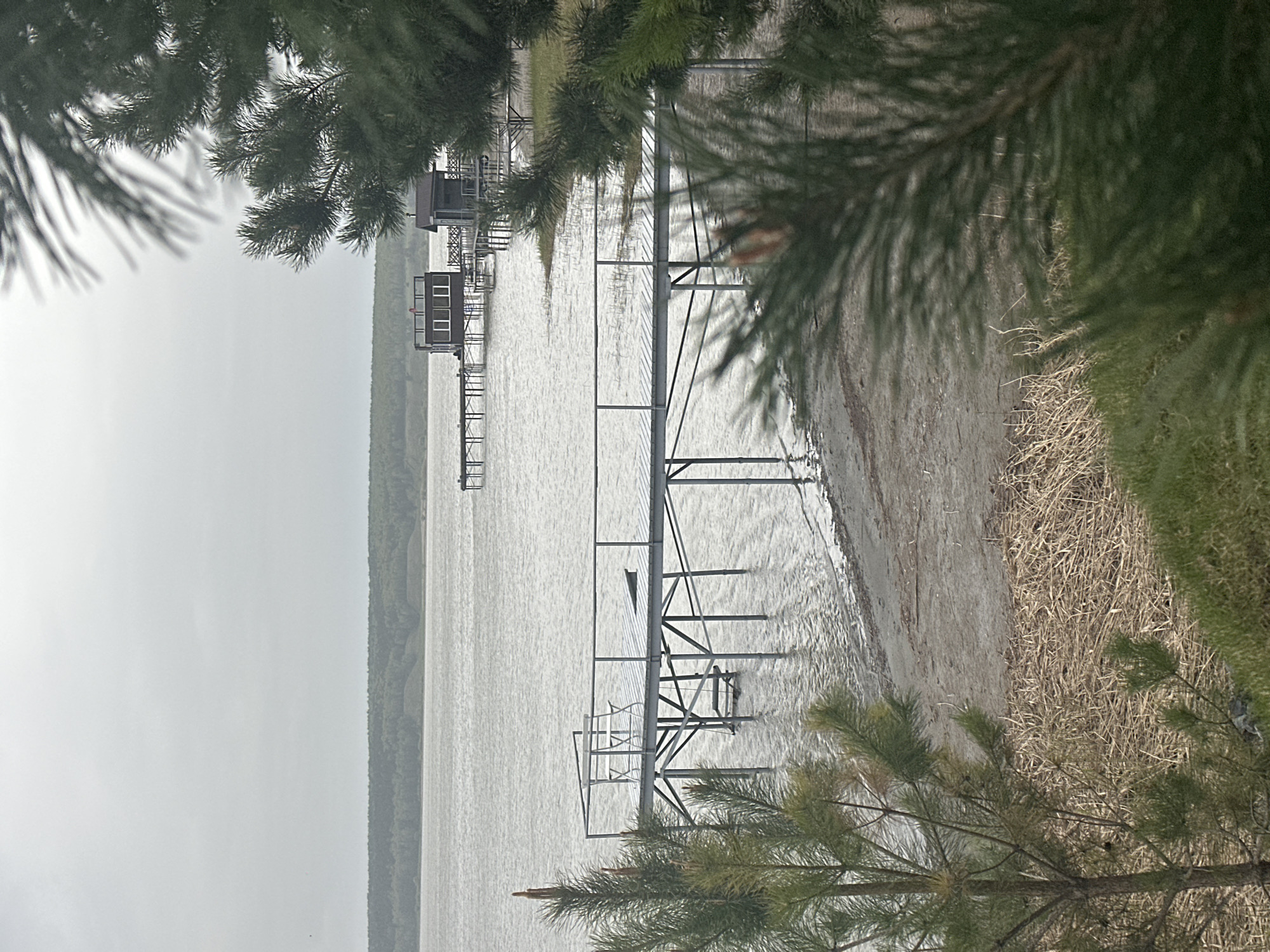 The image depicts a pier or dock structure extending into a body of water. Several smaller buildings on stilts are visible along the shoreline in the distance. The scene is framed by tree branches in the foreground, suggesting a natural or partially wooded environment. The water appears calm. The location cannot be determined from the image alone, and there is no indication of the city of Aviator, Russia. No people are visible in the image. The scene is overcast and muted in color. The shoreline consists of a mixture of grass and sand.