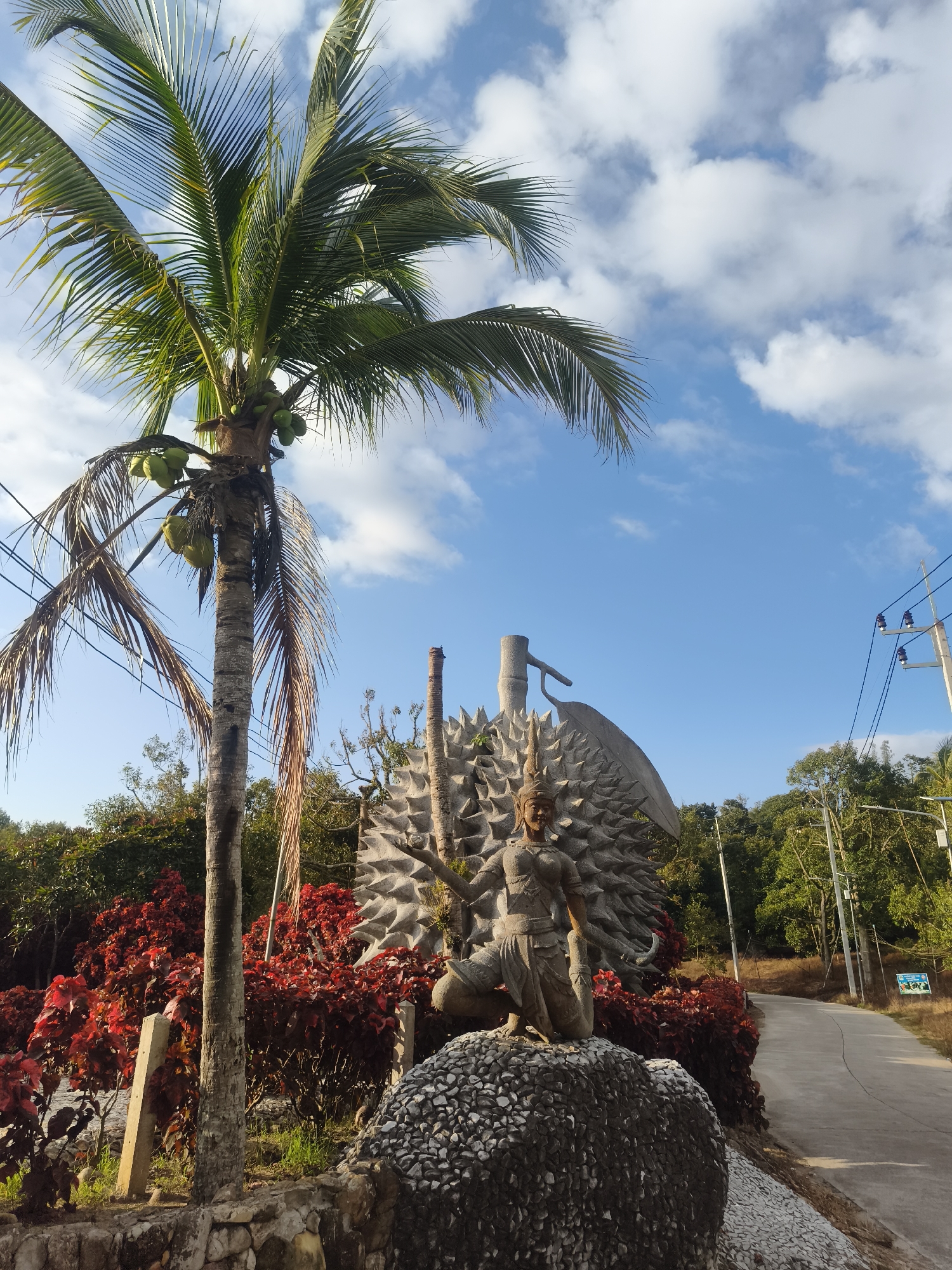 This is a medium shot photograph taken outdoors on a sunny day in Ko Samui District, Thailand. The foreground is dominated by a large, grey durian sculpture with a statue of a person in front of it. The sculpture is textured and spiky, resembling the exterior of a durian fruit. The statue is of a person kneeling, wearing traditional clothing, and appears to be made of stone. To the left of the sculpture, a tall palm tree with coconuts is visible. The tree has green fronds and a brown trunk. Behind the sculpture and palm tree is a dense line of red-leafed bushes, and beyond that, a variety of green trees and foliage line a paved road that curves into the distance on the right side of the image. Power lines and utility poles are also present along the right side of the road. The sky above is blue with scattered white clouds.