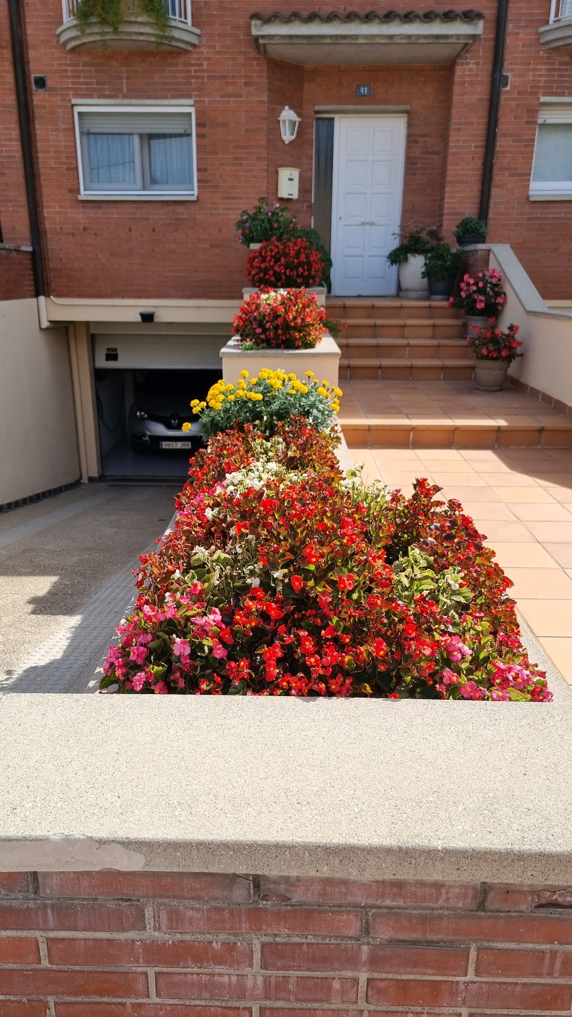 The image depicts the exterior of a multi-story brick building. In the foreground, a raised planter box filled with vibrant red and pink flowers, along with some yellow and white blossoms, is visible. This planter box is positioned in front of a lighter colored wall and a brick foundation. To the left, a driveway leads to an open garage with a car parked inside. Behind the planter box, a set of tiled stairs ascends to the building's entrance. The entrance features a white door with a small number "41" above it, a white mailbox, and a white wall-mounted light fixture. More potted plants, including some with red flowers, are situated on the steps and to the side of the entrance. The building itself is constructed of red brick, with windows visible on the upper floors. The scene appears to be a residential property in a Spanish city, possibly Castellfollit de la Roca, given the architectural style and the presence of a garage.