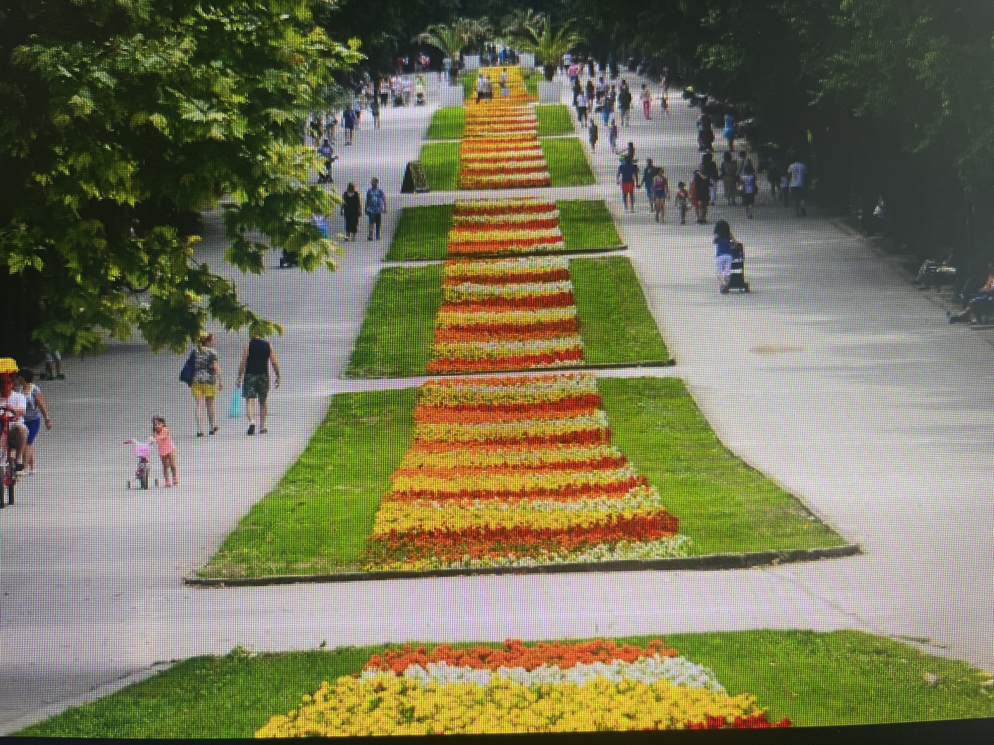 The image depicts a wide, paved promenade or pathway stretching into the distance, lined with trees and vibrant floral displays. The scene is bustling with numerous people strolling along the path, suggesting a popular public park or garden. Given the context, this is likely the Sea Garden in Varna, Bulgaria.
The most prominent features are the decorative flower beds arranged in tiered, rectangular sections along the center of the pathway. These beds are meticulously planted with flowers in distinct horizontal stripes of red, orange, and yellow, creating a striking and colorful visual pattern against the manicured green grass. The floral sections appear to ascend gently, adding depth to the perspective.
People of various ages are visible, including individuals, couples, and families. Many are casually dressed, enjoying a leisurely walk. On the left side, a small child is seen standing next to a tricycle or scooter, while further down on the right, a person is pushing a stroller. Other people are dispersed across the entire visible length of the pathway.
Lush green trees with dense foliage line both sides of the promenade, providing shade and a natural boundary. In the far distance, beyond the flower beds, taller palm trees are visible, hinting at a warm climate. The scene is brightly lit by natural sunlight, indicating a clear daytime, likely morning or afternoon, with pleasant weather ideal for outdoor activities. There is no visible text in the image.
