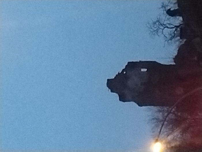 An upside-down, murky photograph reveals a dark, imposing structure silhouetted against a blue sky. The building's shape resembles a pig's head, with prominent snout and possible eye and window openings. Leafless tree branches extend from behind the structure. A bright, blurred light source appears at the bottom of the image.