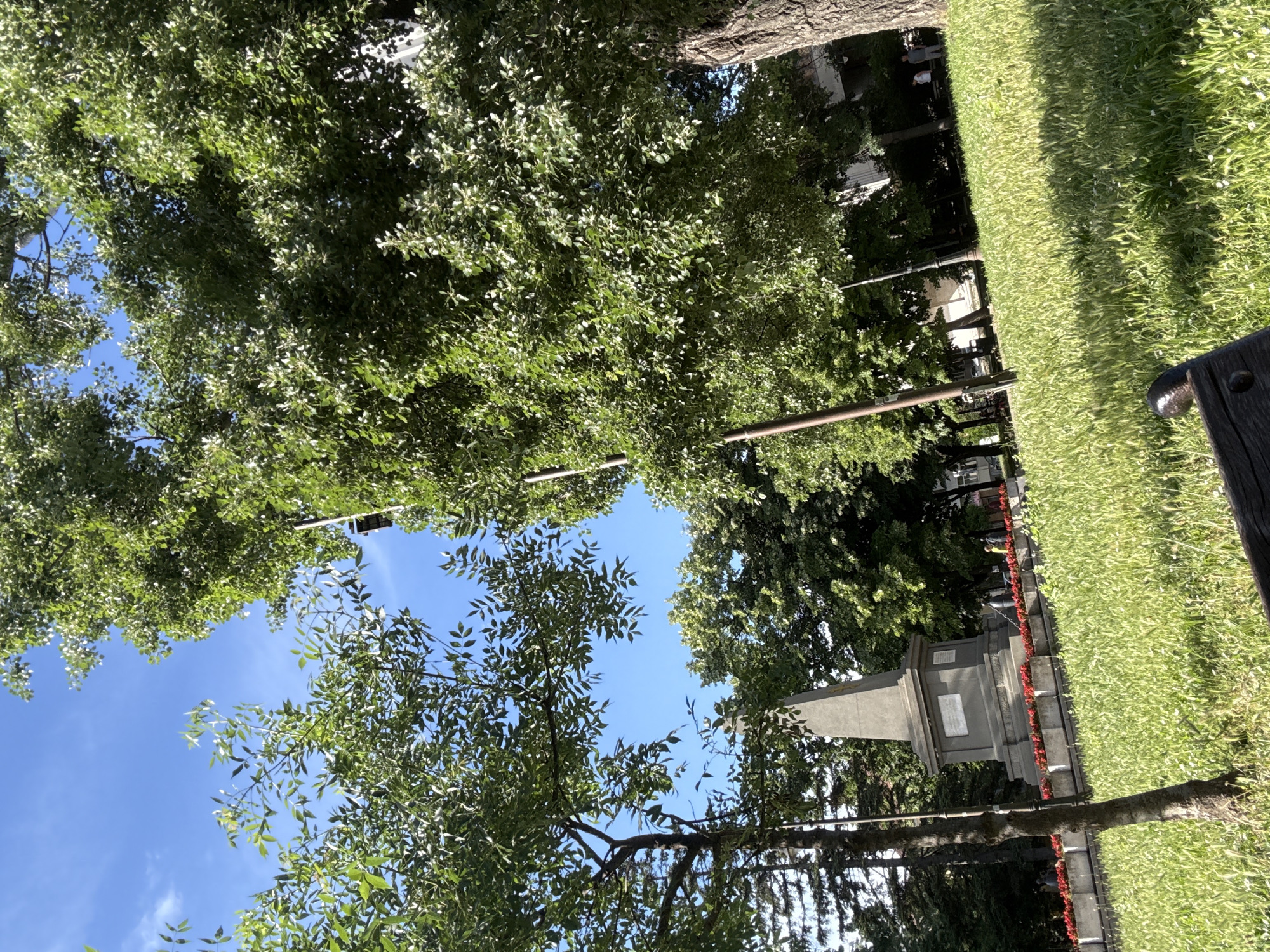 The image depicts a park setting, likely in Varna, Bulgaria, on a clear, sunny day. The perspective is looking upwards through lush green trees towards a bright blue sky. In the foreground, the trunk of a large tree is visible, and to the right, a patch of vibrant green grass slopes away.
The scene contains several objects, including what appears to be a monument or memorial stone structure situated to the right of the frame, partially obscured by trees and grass. There are also hints of other park features such as lampposts and possibly benches in the background, along with some scattered figures of people walking or sitting. The overall atmosphere is peaceful and natural. The bright sunlight suggests it is daytime, likely late morning or afternoon. The abundance of green foliage indicates it is likely spring or summer. No visible text is decipherable in the image.