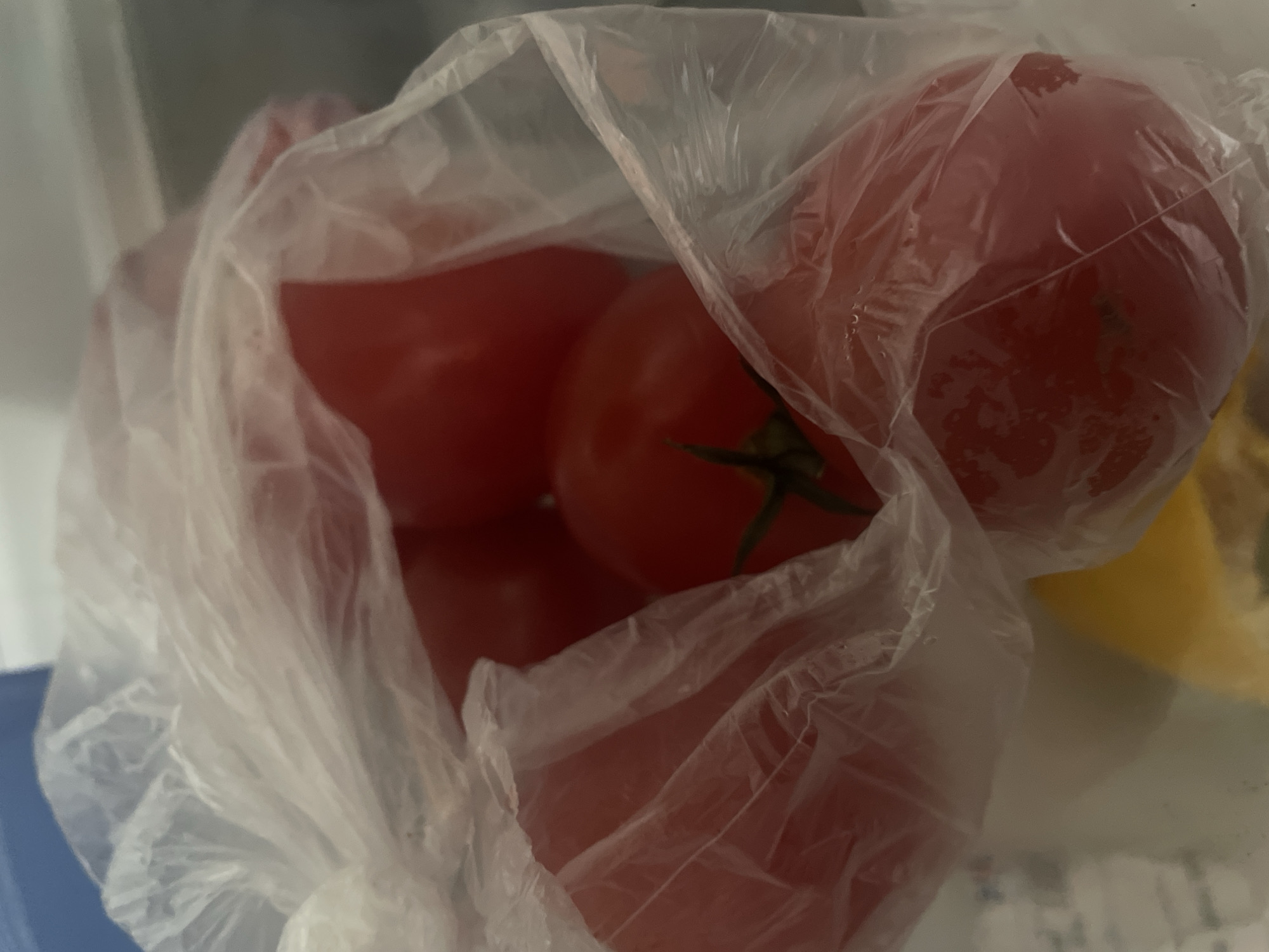 A close-up, top-down view shows several ripe, red tomatoes contained within a clear, crumpled plastic bag. The tomatoes appear mostly round, with at least one clearly displaying a green stem. Some moisture or condensation is visible on the inner surface of the plastic bag and the tomatoes. The plastic bag is somewhat reflective and obstructs a perfectly clear view of all the tomatoes. In the blurred background, to the right, a bright yellow object, possibly another fruit like a lemon, is partially visible, along with some indistinct lighter-colored objects. The scene appears to be an indoor setting, possibly for food storage or preparation. No people or visible text are present. The time of day and weather are not discernible.