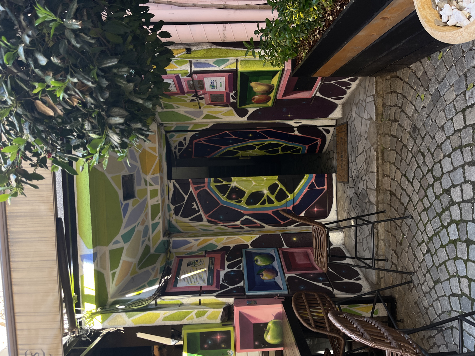 This is an image of the Hollistic Plovdiv restaurant's entrance in Plovdiv, Bulgaria. The entrance is decorated with colorful, mural-style paintings depicting fruits, geometric shapes, and abstract designs. The walls are covered with a mosaic pattern. Outside, the street is paved with cobblestones, and there are outdoor chairs and tables. Green plants are visible above the entrance.