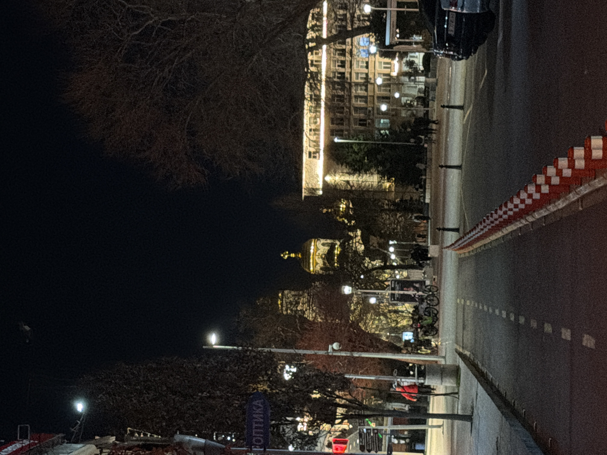 The image shows an urban scene at night in Varna, Bulgaria. A road stretches into the distance, bordered on one side by a curb with alternating red and white segments. A row of trees lines the road, with streetlights illuminating the scene. In the background, a large building is lit up, and a gilded dome is visible above the trees. There are people walking and bicycles parked along the road. Street signs are visible, including one with Cyrillic text that includes the word "ОПТИКА". A car is parked at the extreme right edge of the frame in the upper section of the picture.