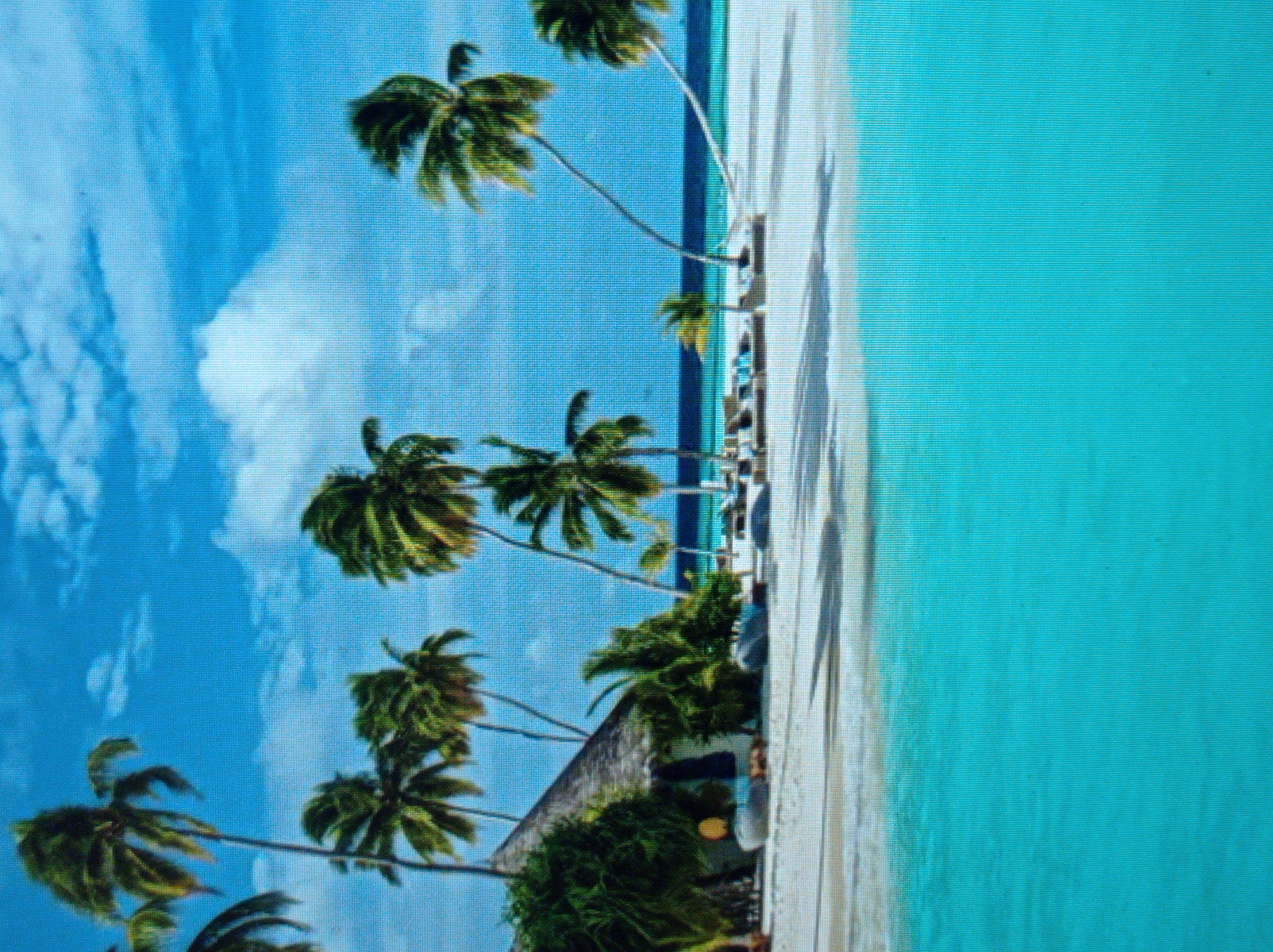 The image depicts a tropical beach scene. In the foreground, the turquoise water of the ocean stretches to the horizon. The middle ground features a white sandy beach with several lounge chairs and a thatched-roof hut nestled amongst lush green vegetation. Numerous palm trees with fronds blowing in the wind are scattered across the beach and lean over the water. The background consists of a bright blue sky dotted with white clouds. There are no people visible in the image. The scene is serene and conveys a sense of a peaceful tropical resort. The location is not in Mukachevo, Ukraine, but rather a tropical environment.
