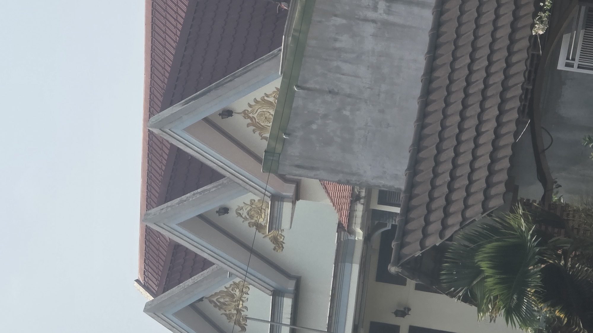 The image presents a close-up, angled view of building architecture, possibly in the city of Trung Hồ, Vietnam. It features layered roof designs with ornamental golden patterns adorning the eaves. One roof segment is covered in dark brown tiles, while another structure displays a gray concrete façade. The sky is visible in the upper left corner, suggesting an outdoor setting. A partially visible tree is situated towards the bottom right of the frame.