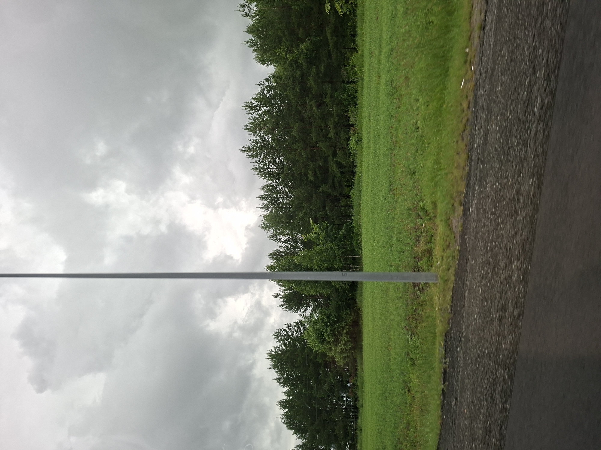 An overcast sky looms above a rural landscape in Vorob'evka, Russia. A solitary, tall metal pole stands vertically in the foreground, bisecting the frame. To the right of the pole, a dense line of evergreen trees forms a dark green border against the muted sky. In front of the trees, a vibrant green field stretches horizontally, appearing cultivated or a lush meadow. The bottom of the image shows a textured, dark gray surface that transitions into a smoother, black asphalt road, suggesting the perspective is from a moving vehicle or roadside. The overall atmosphere is somber and natural, with no human presence or activity visible.